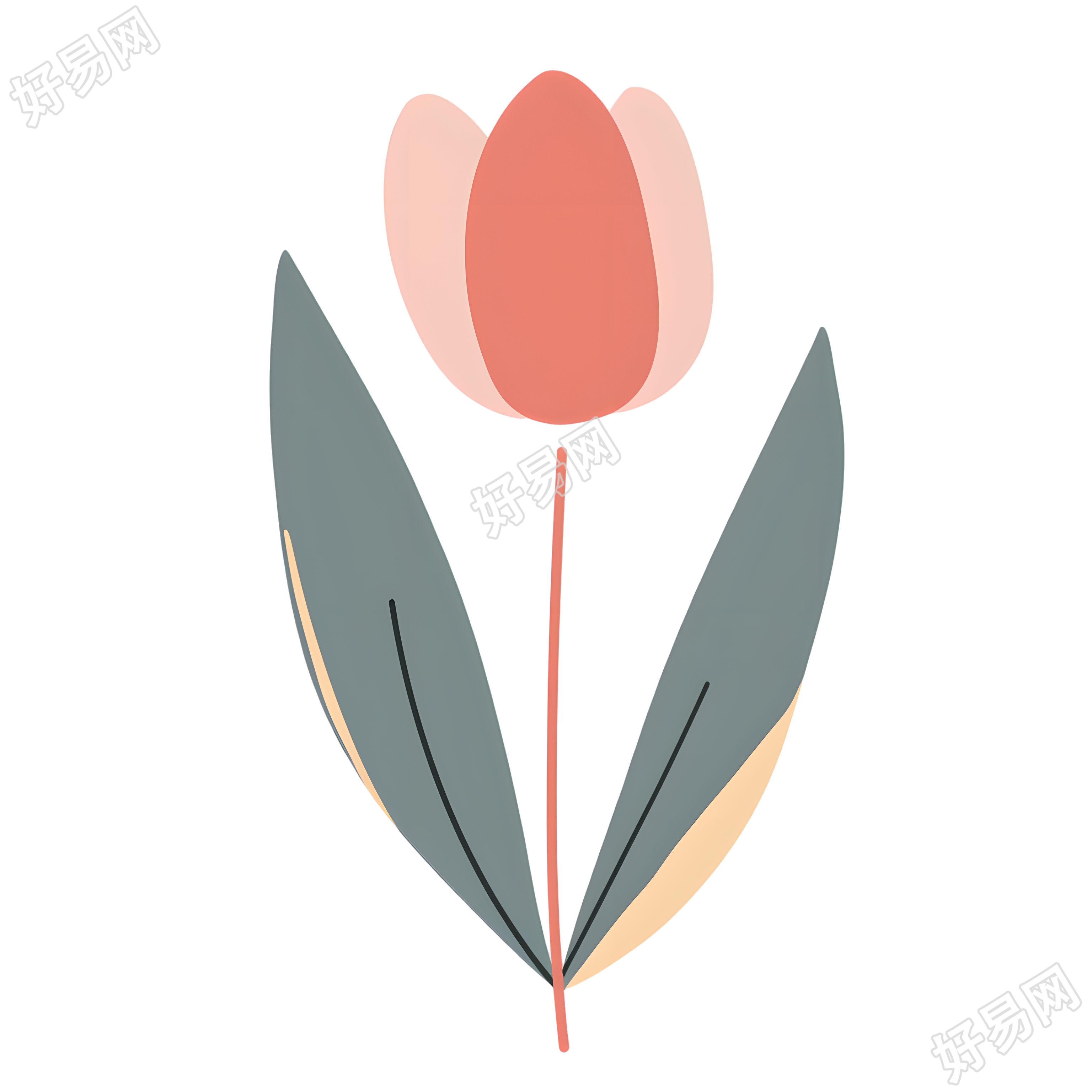 单支郁金香可爱插画