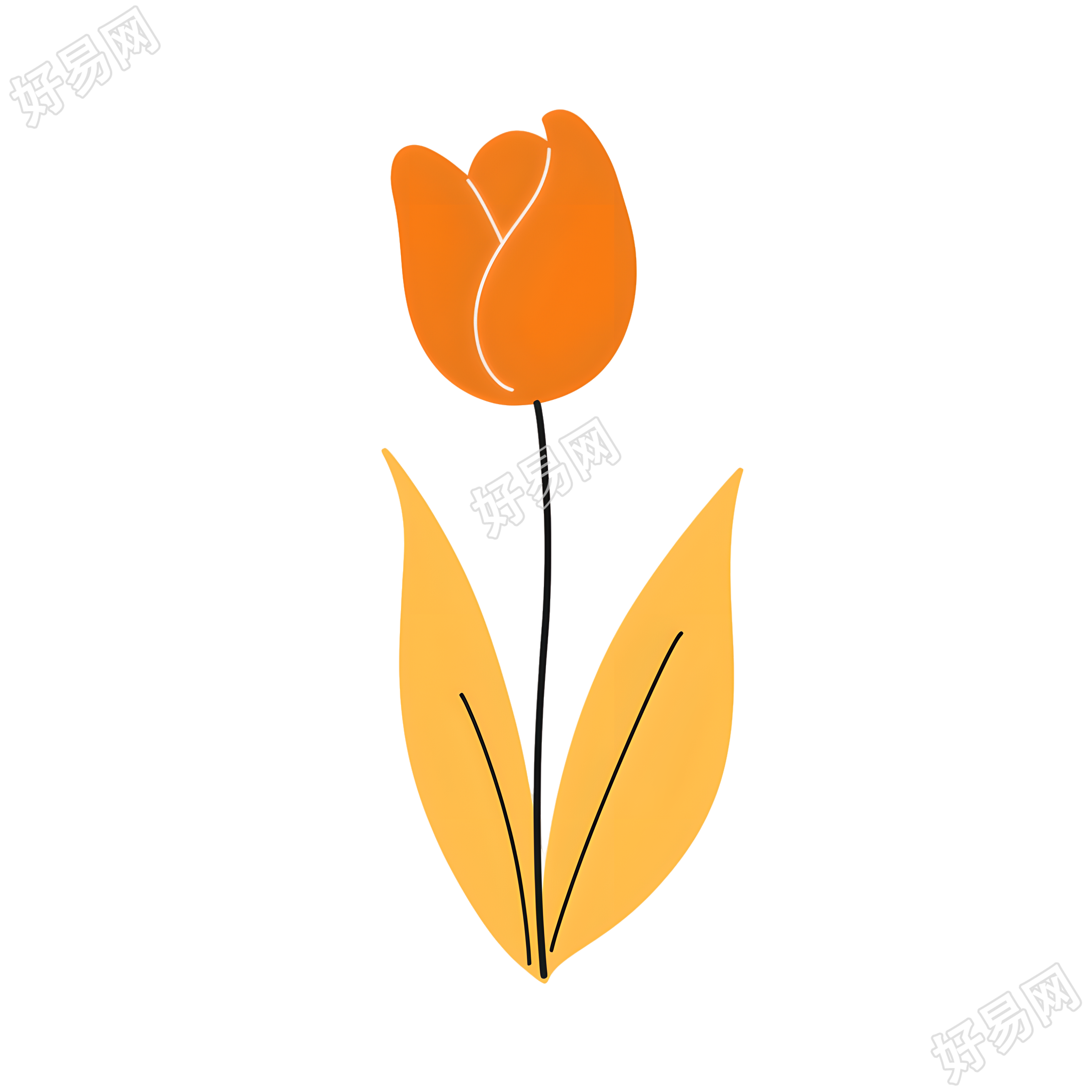 单支郁金香简笔画素材