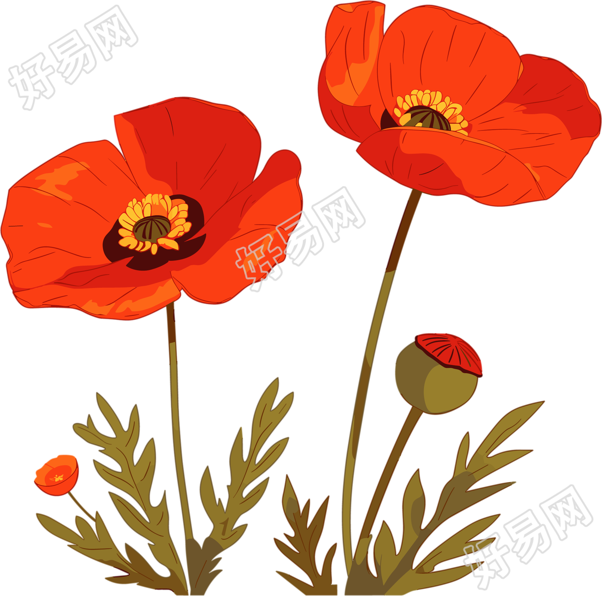 禁毒罂粟花矢量插图
