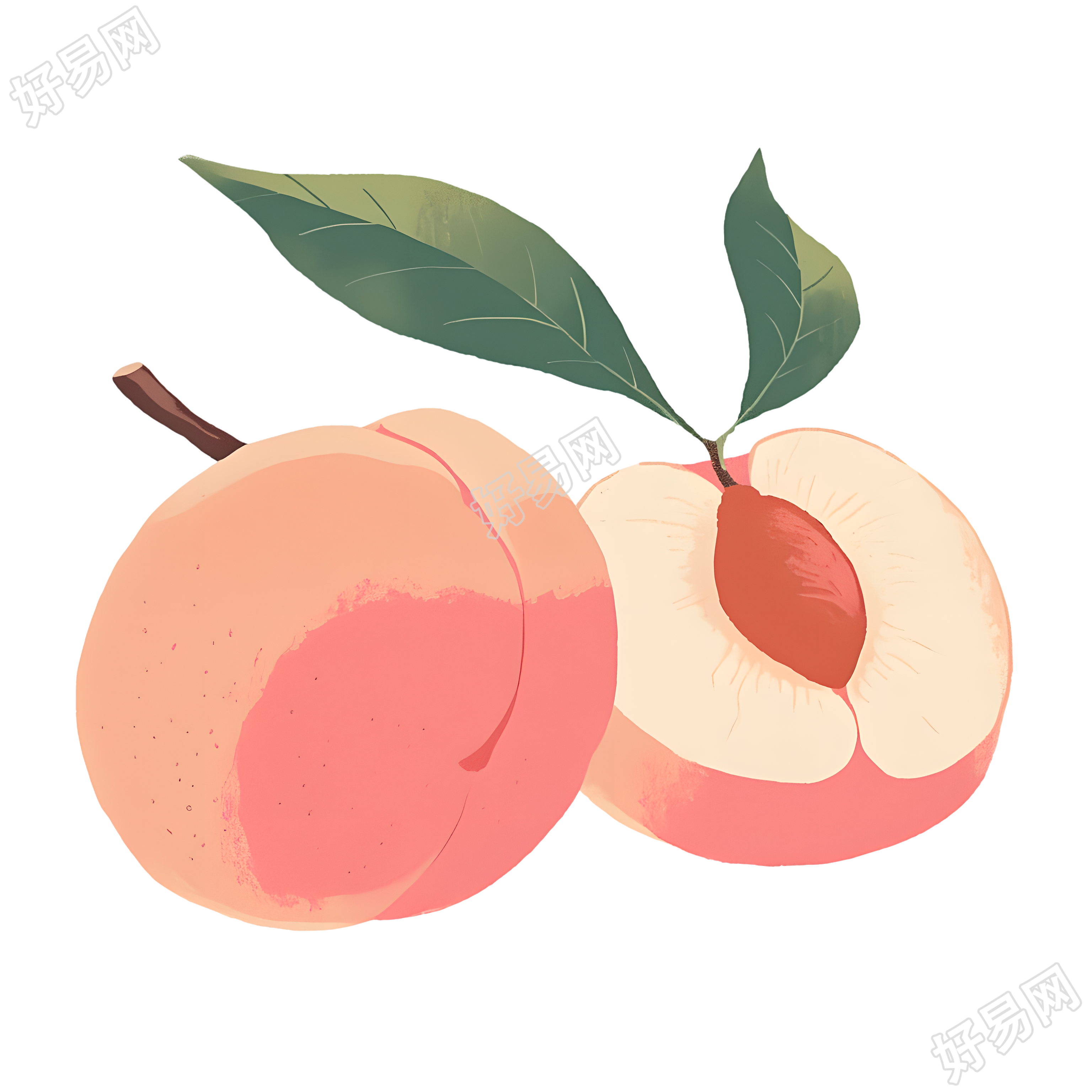 桃子矢量插图