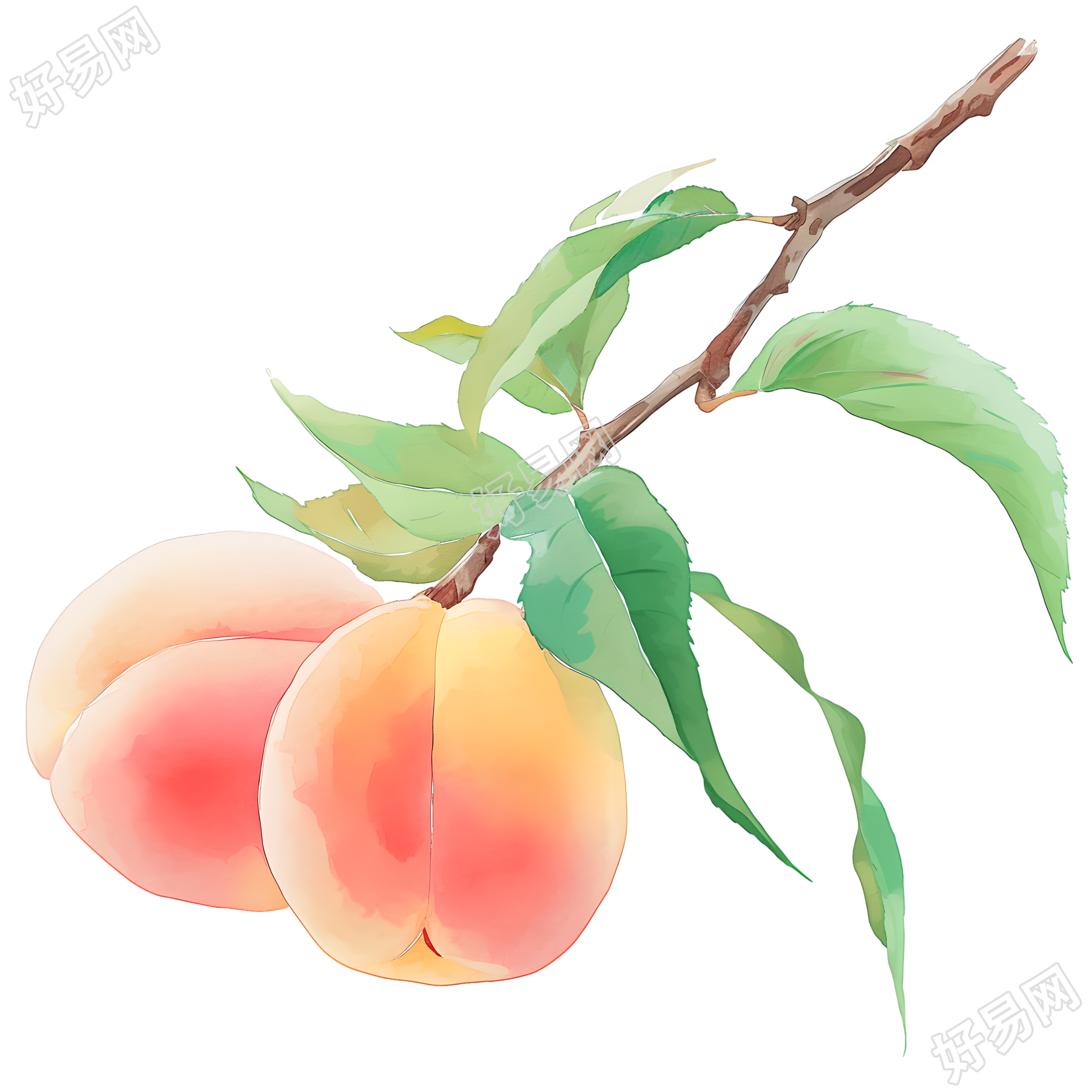 桃子简约风格素材