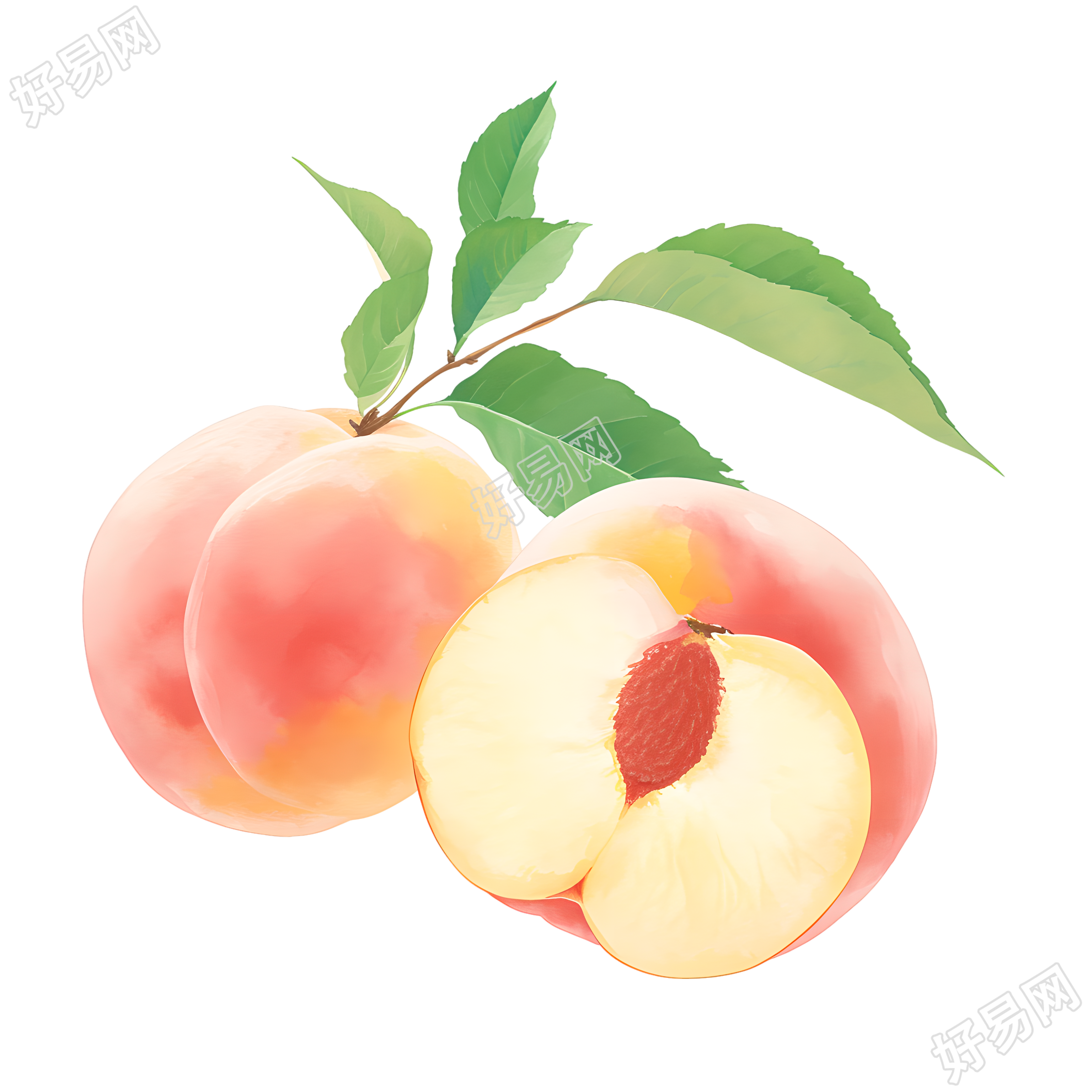 桃子创意插画
