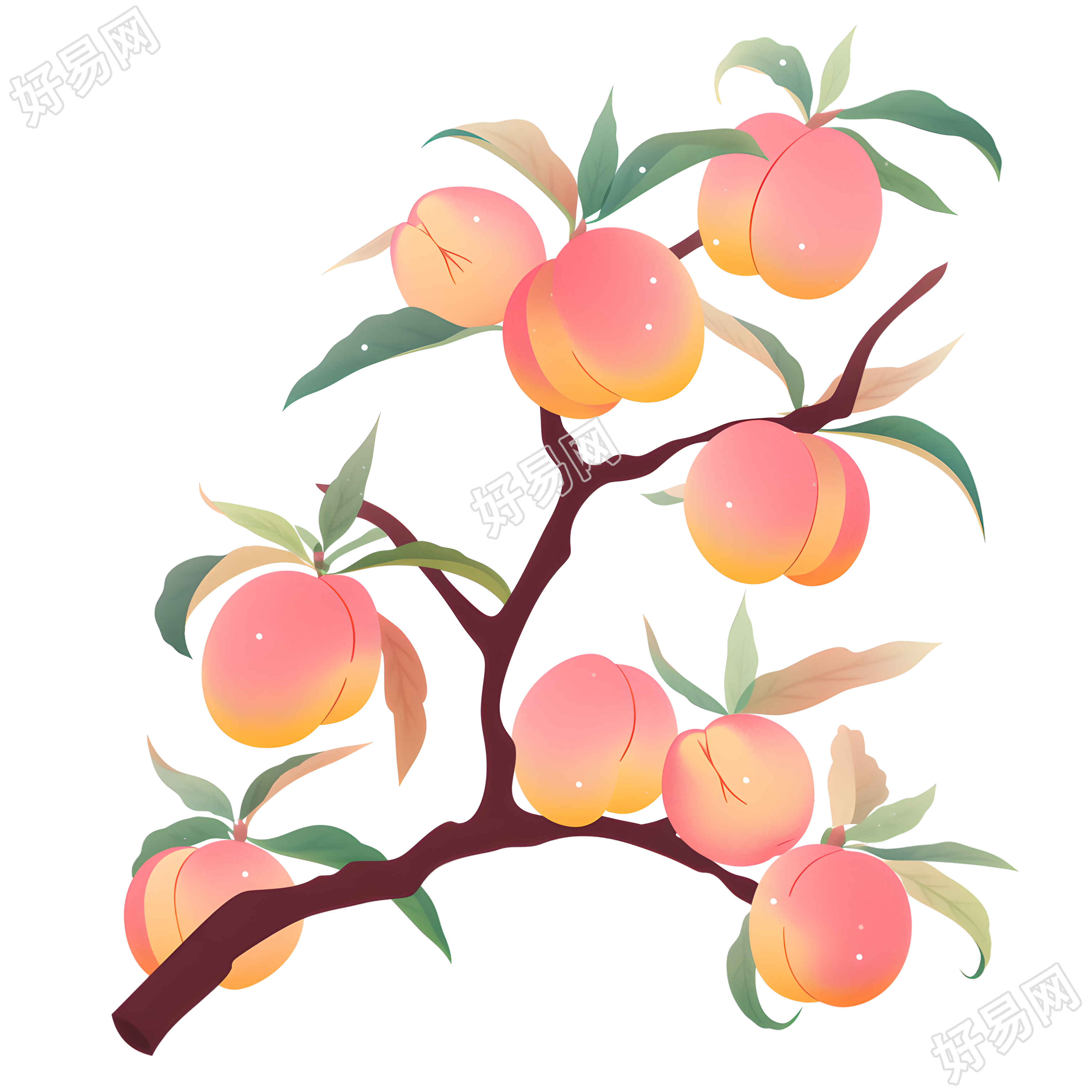桃子图形素材