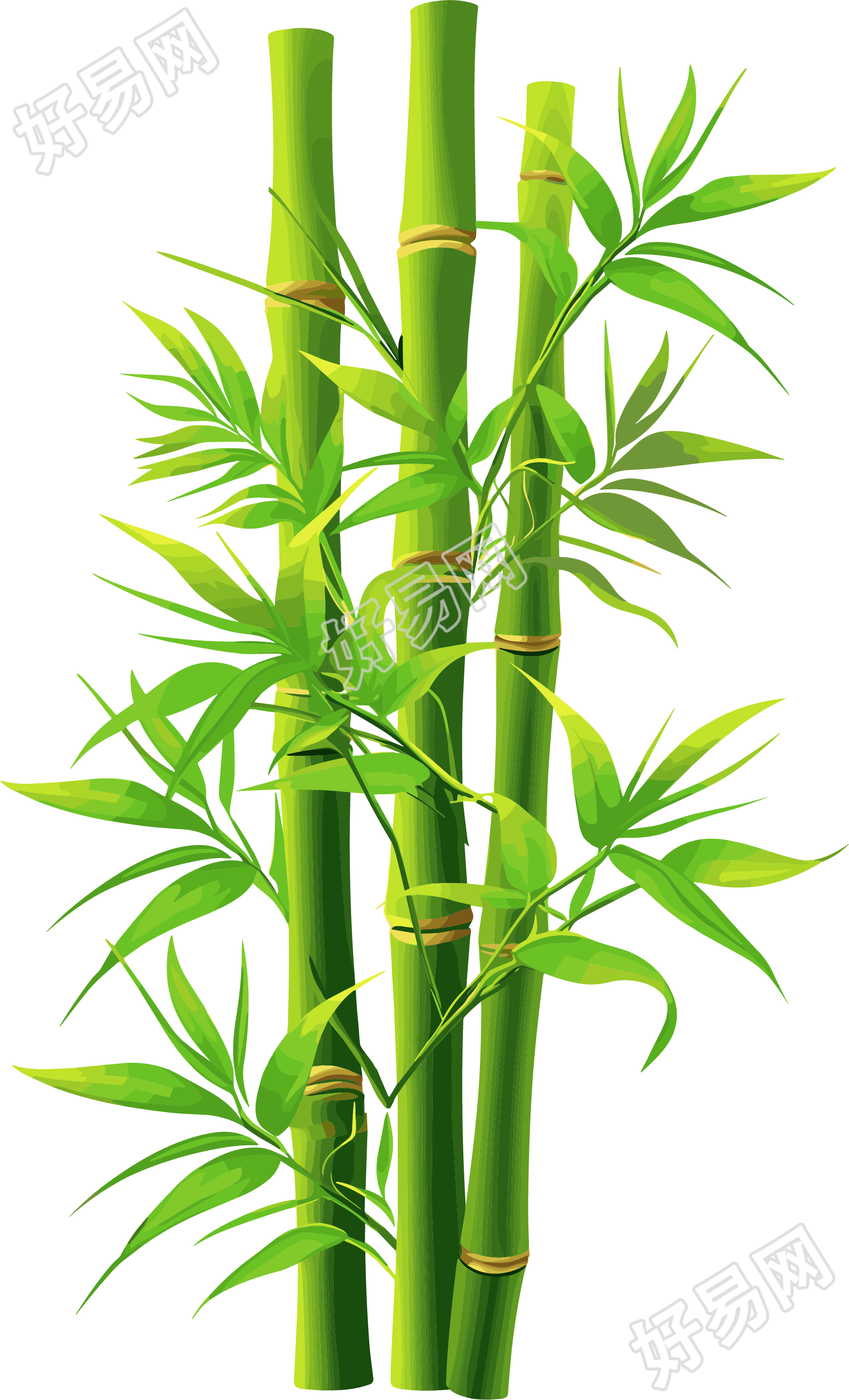 竹子矢量插画