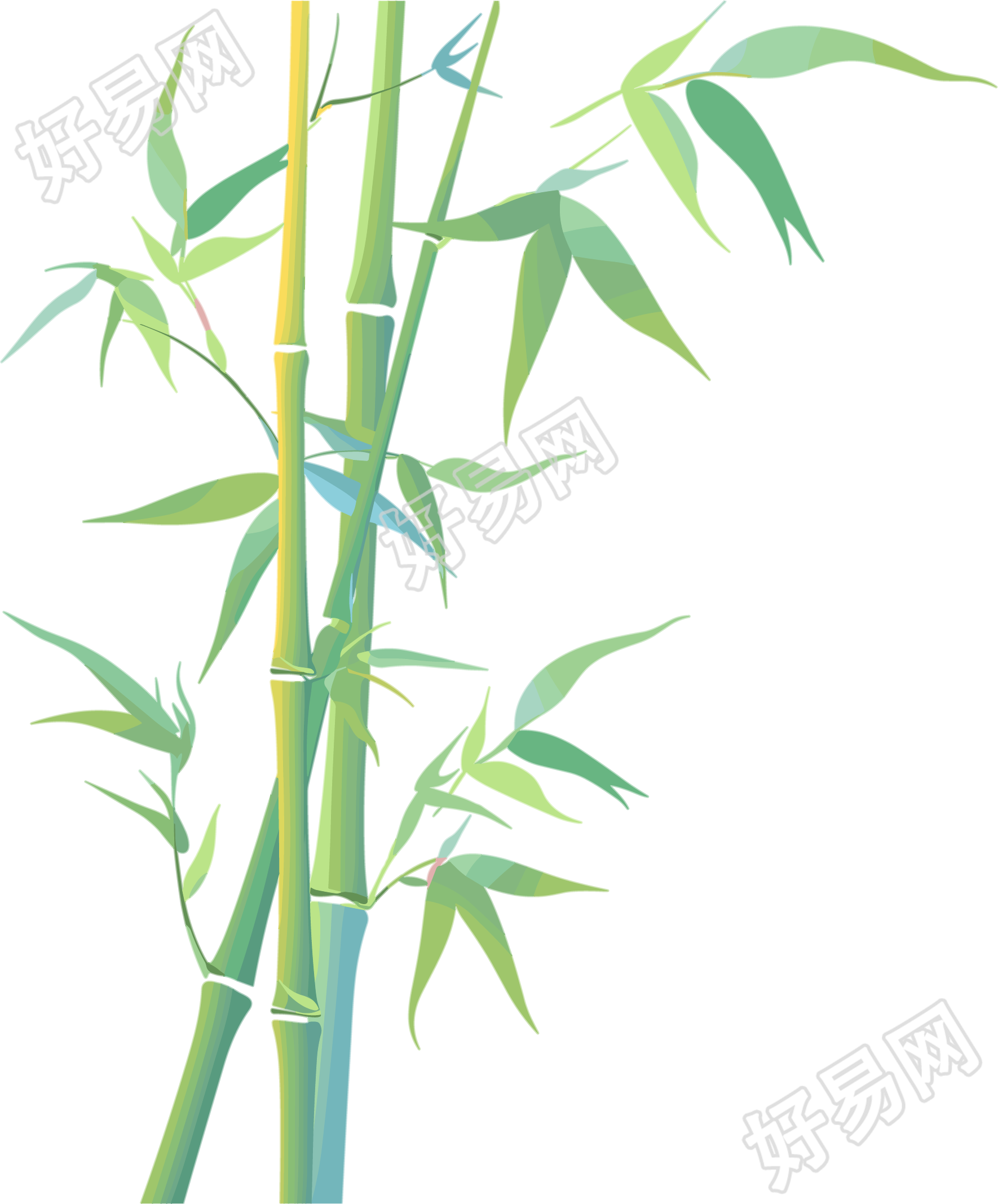 竹子插画设计元素