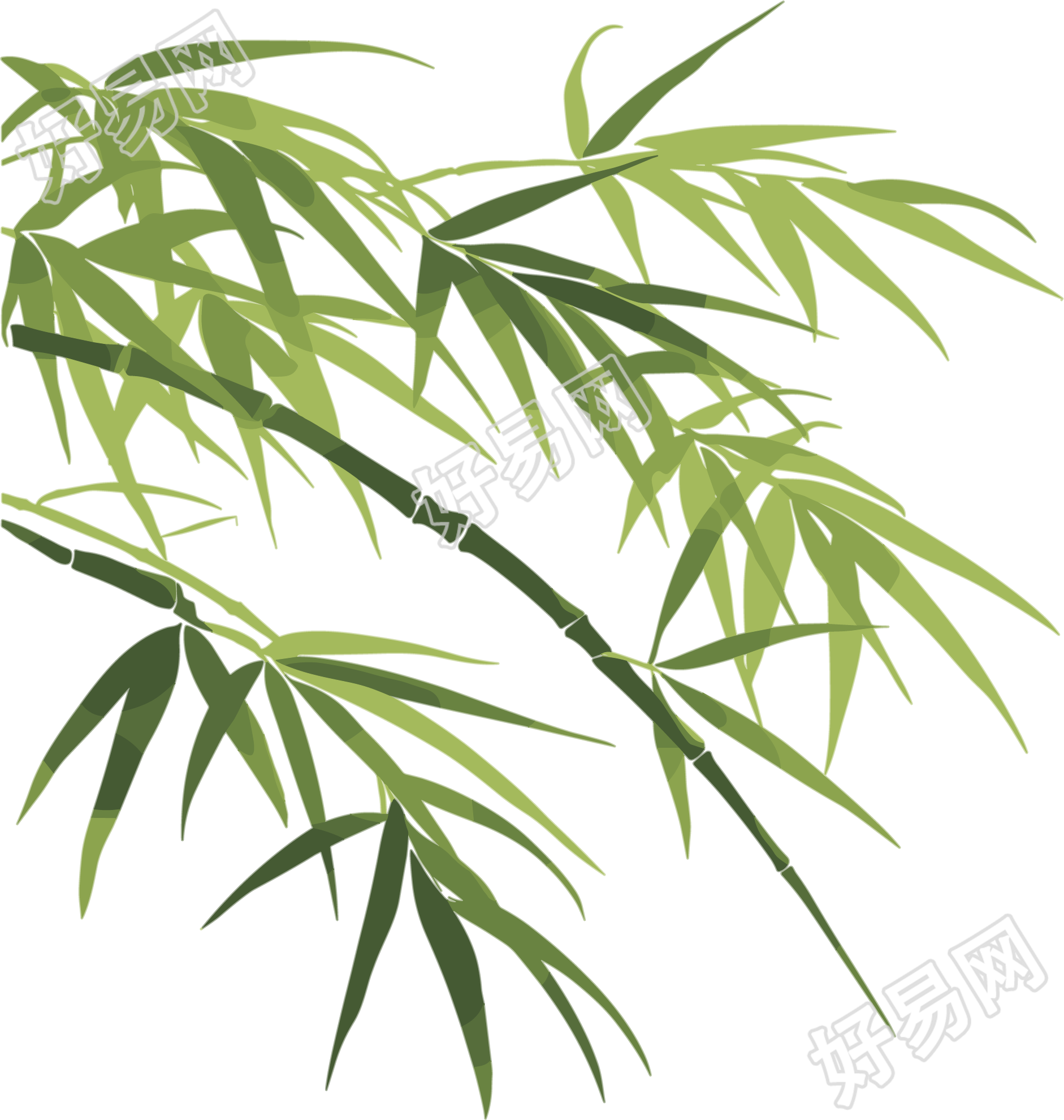 竹叶插画设计元素