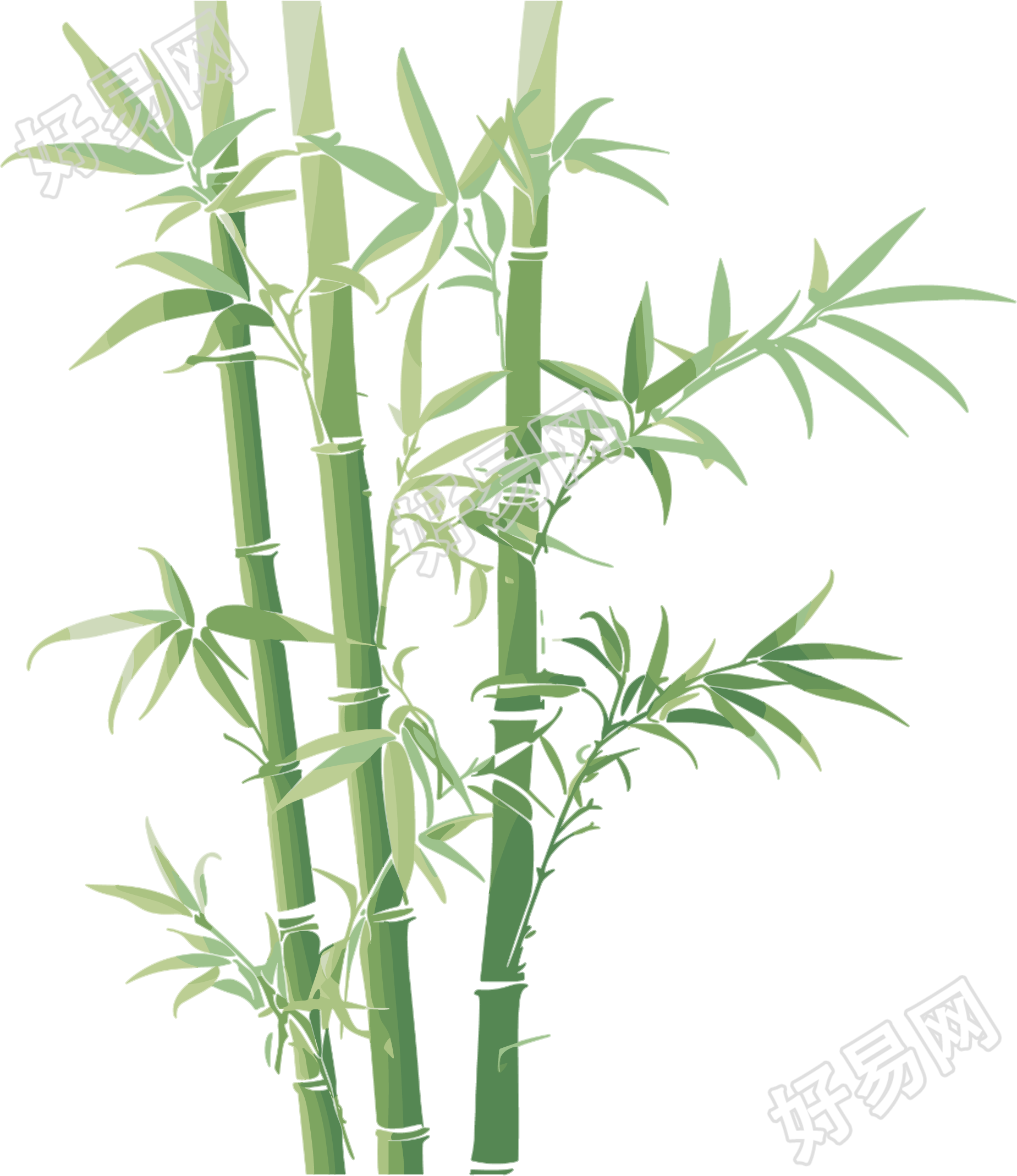 竹子PNG图形素材