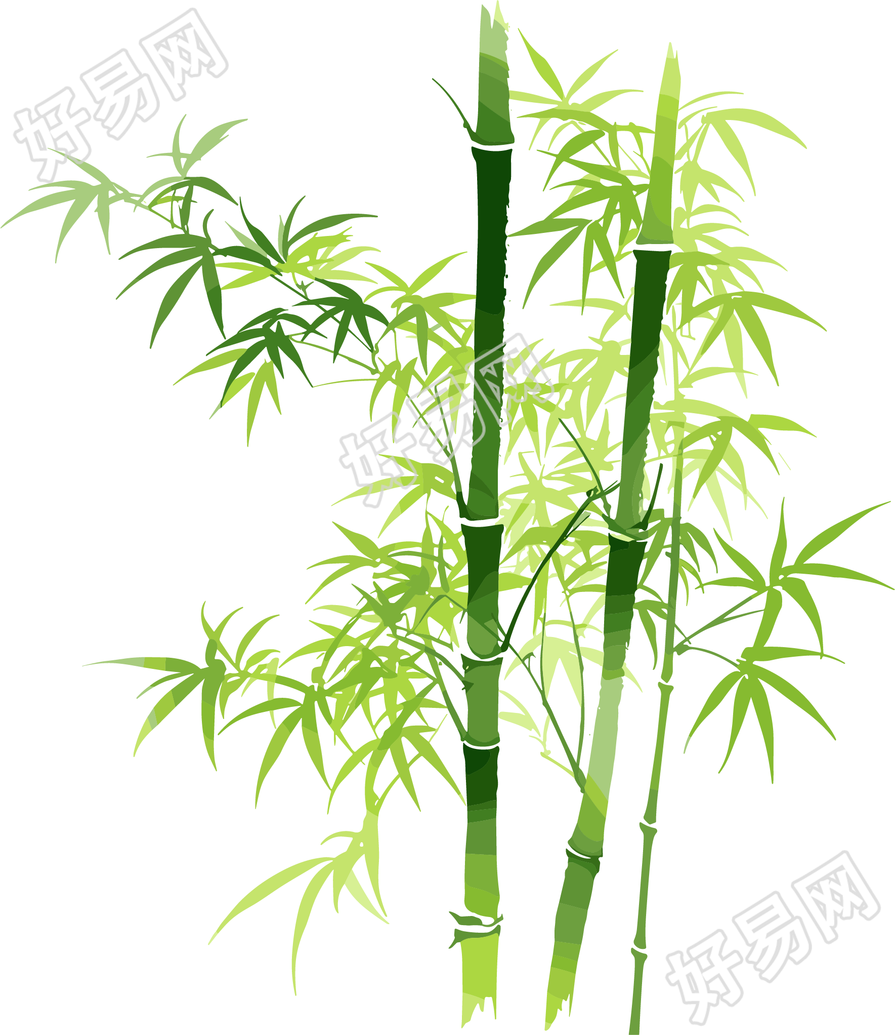 竹子矢量插图