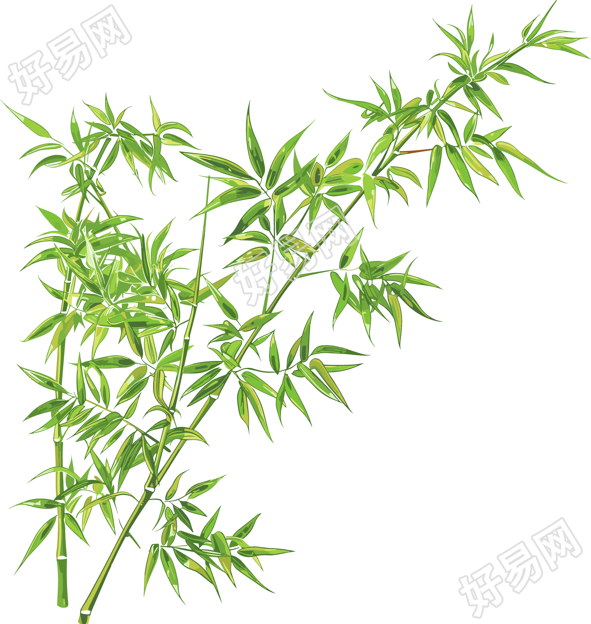 竹叶插画图形素材