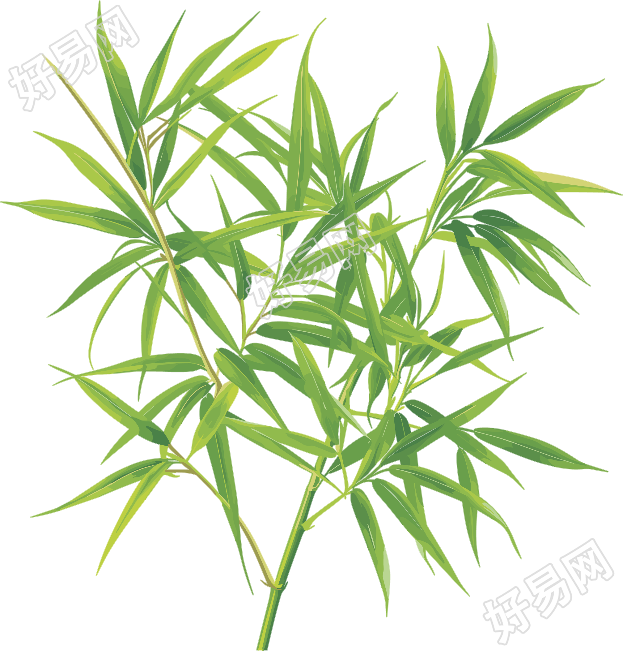 竹叶透明背景插画