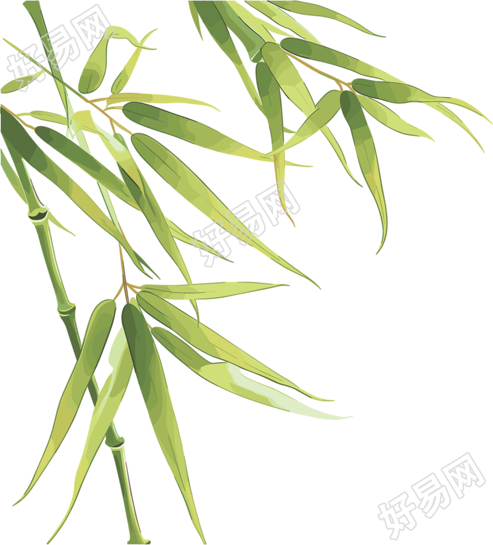竹叶高清素材