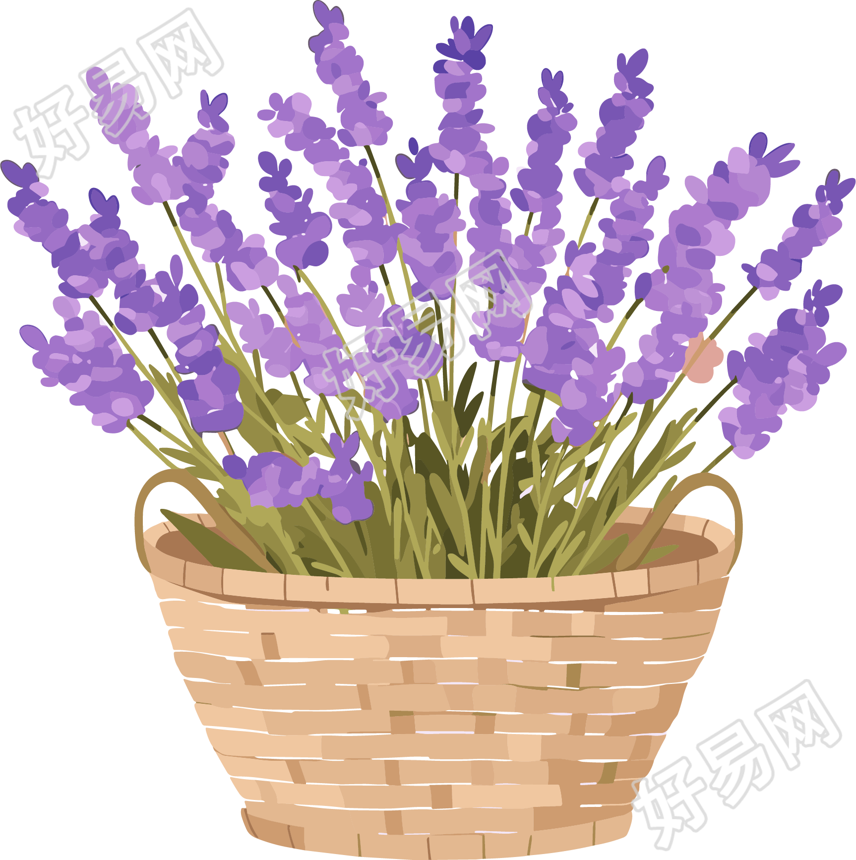 薰衣草卡通风格元素