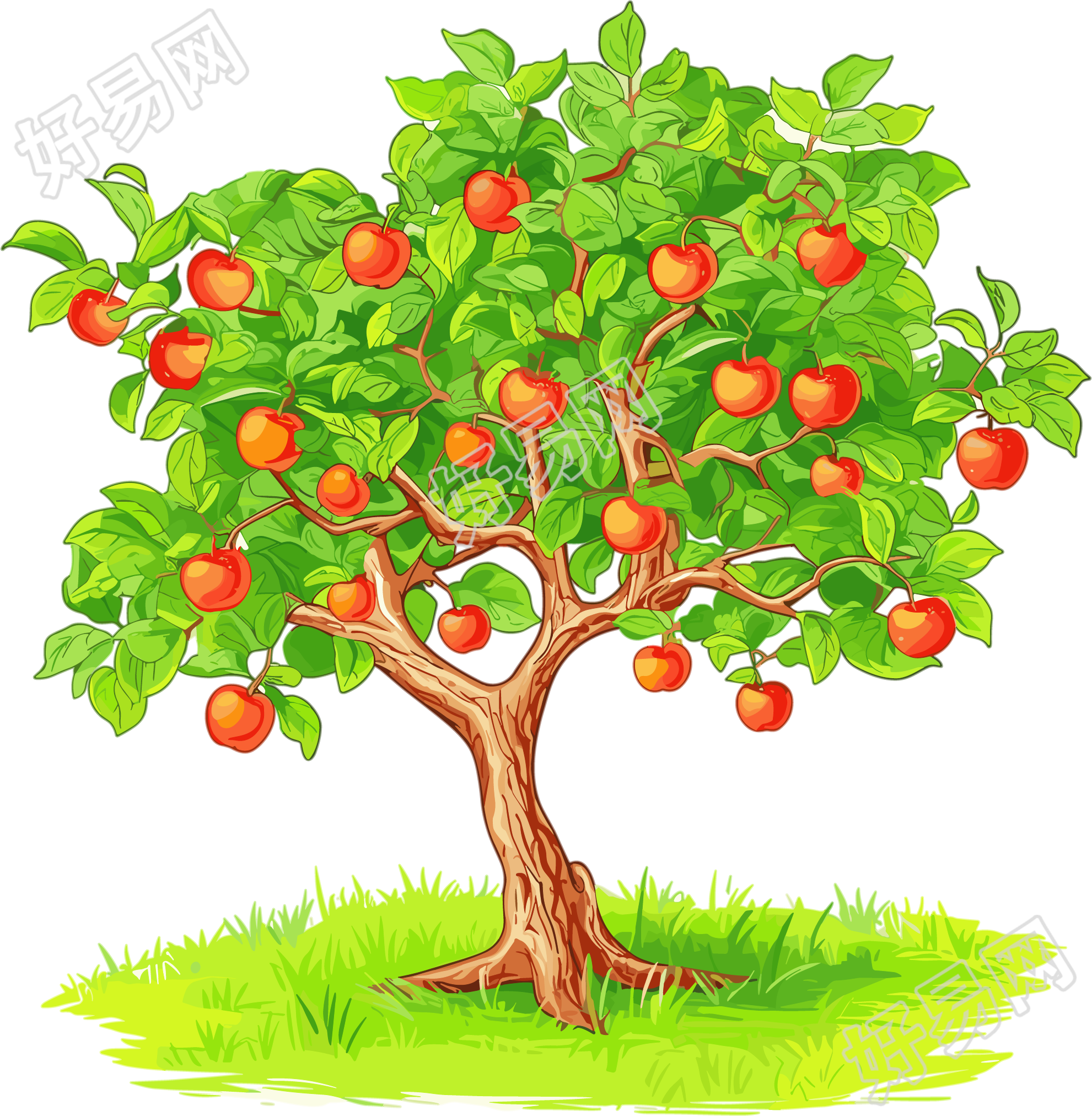 苹果树简单插图