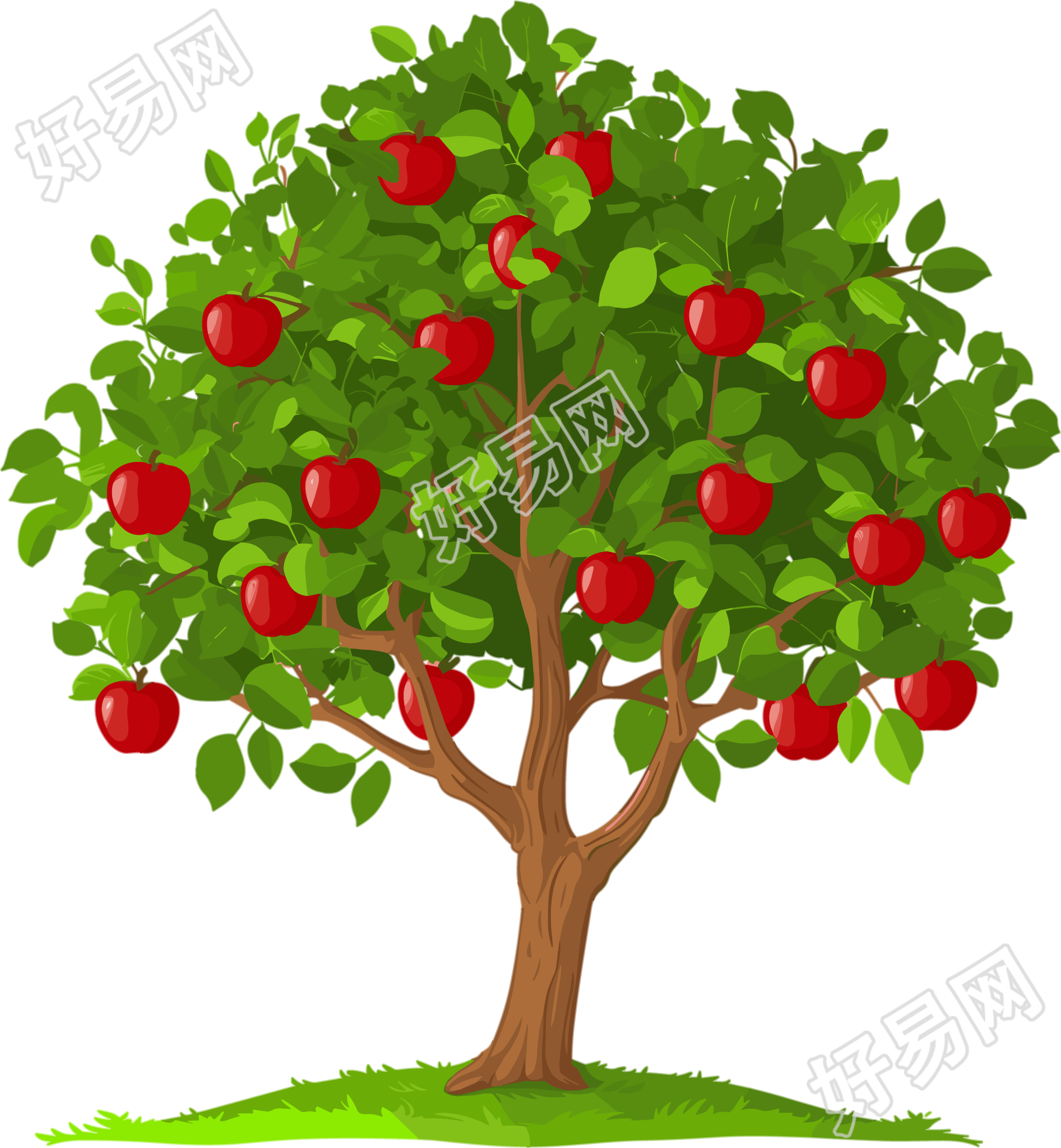 苹果树插画元素