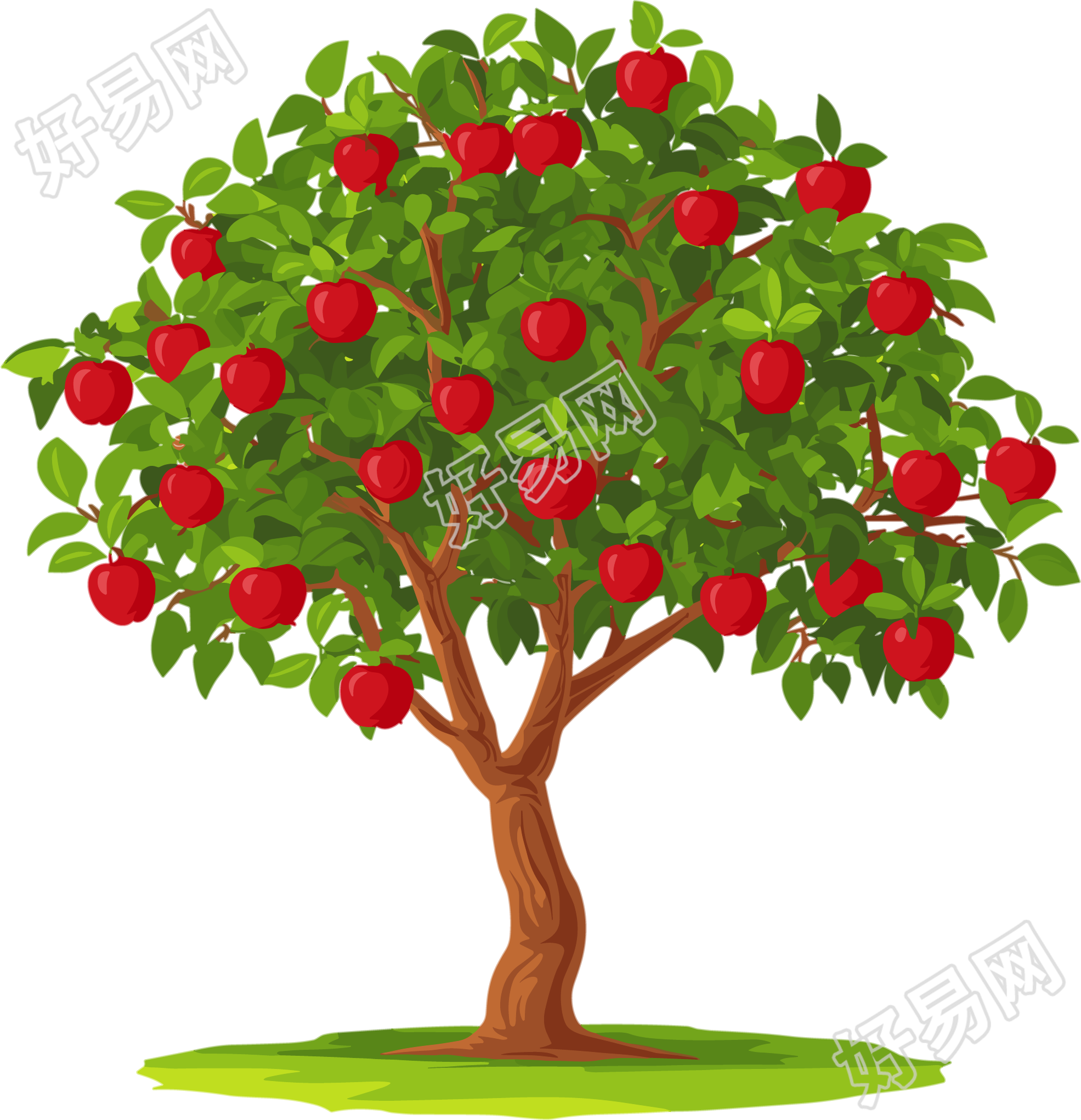 苹果树矢量PNG插图