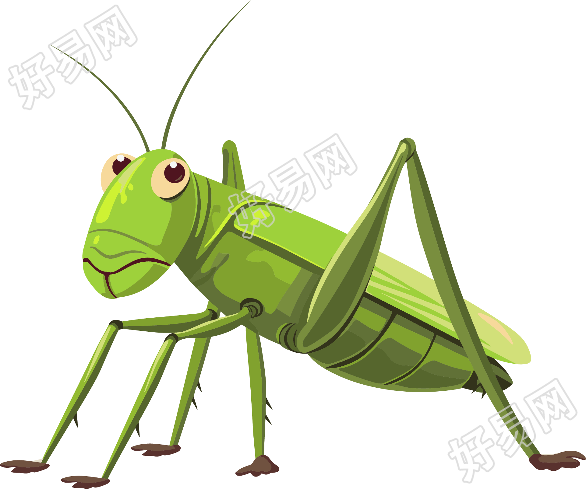 蟋蟀高清插画