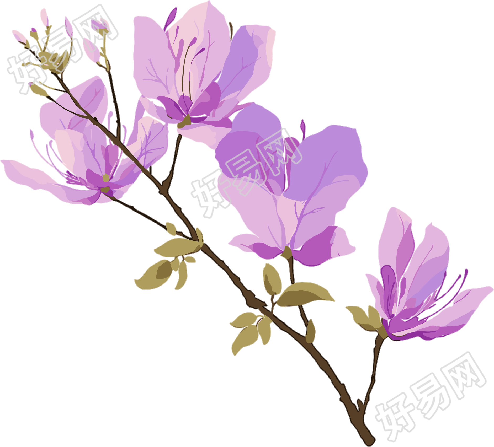 紫荆花创意设计插图