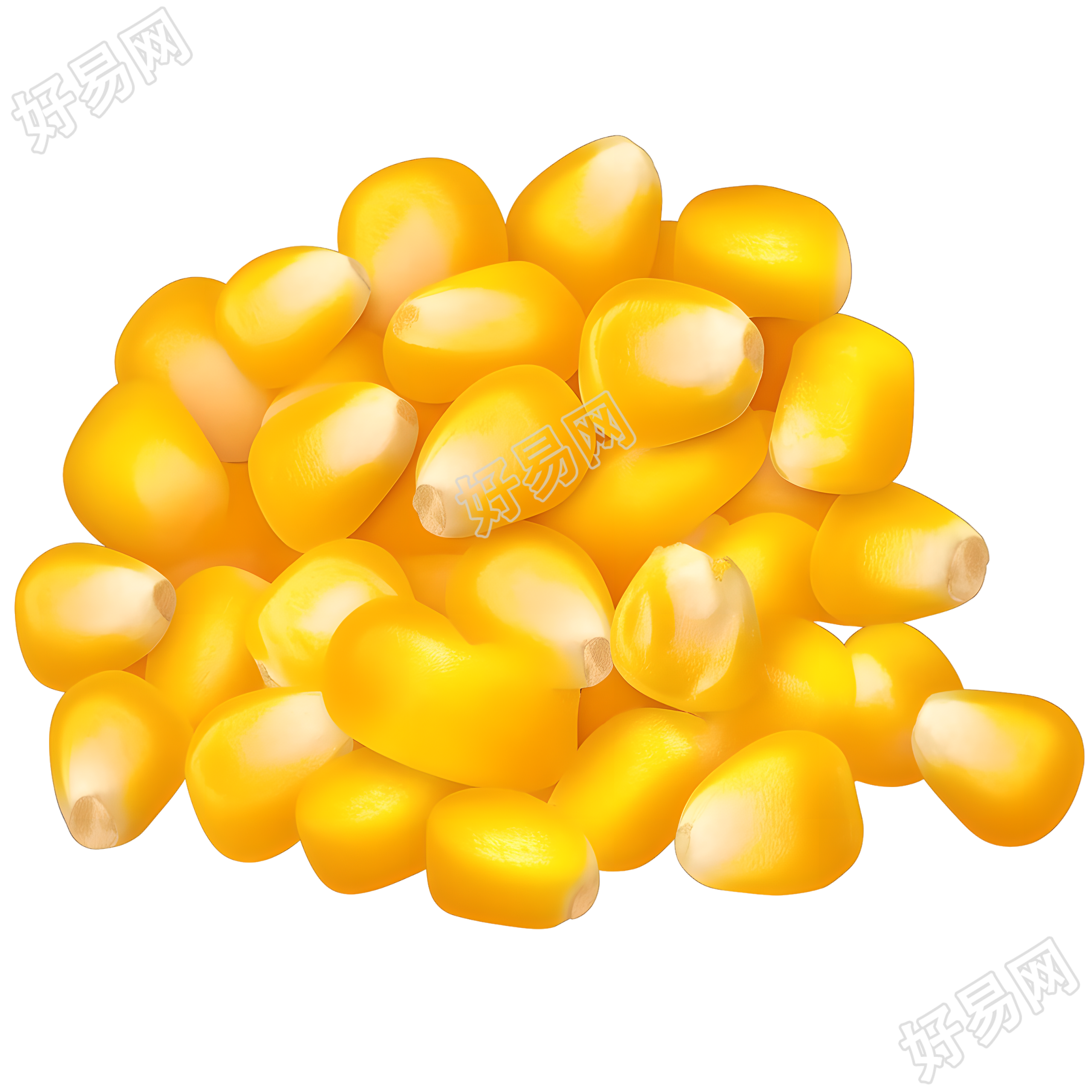 玉米粒矢量插图