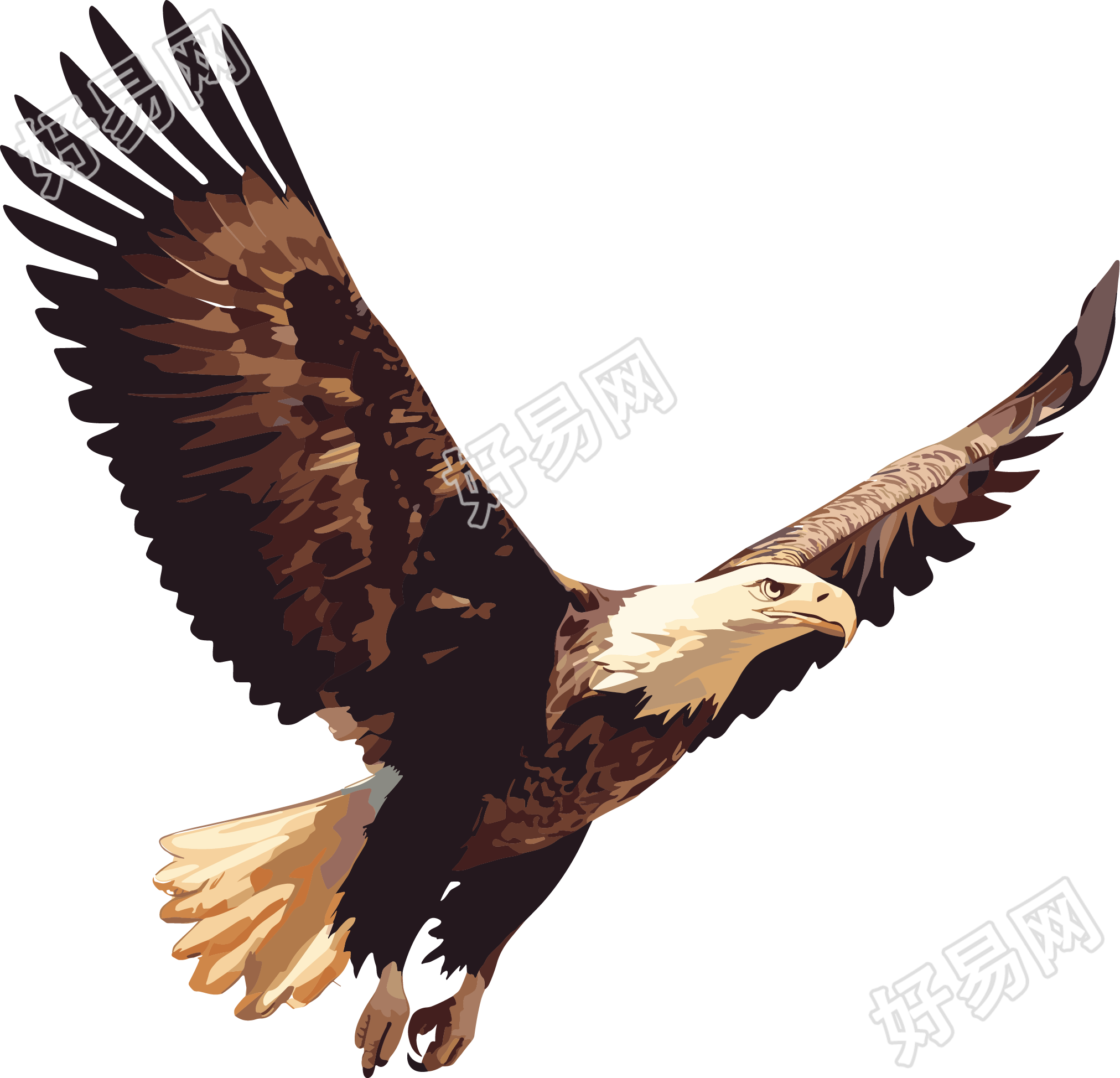 老鹰卡通插图素材