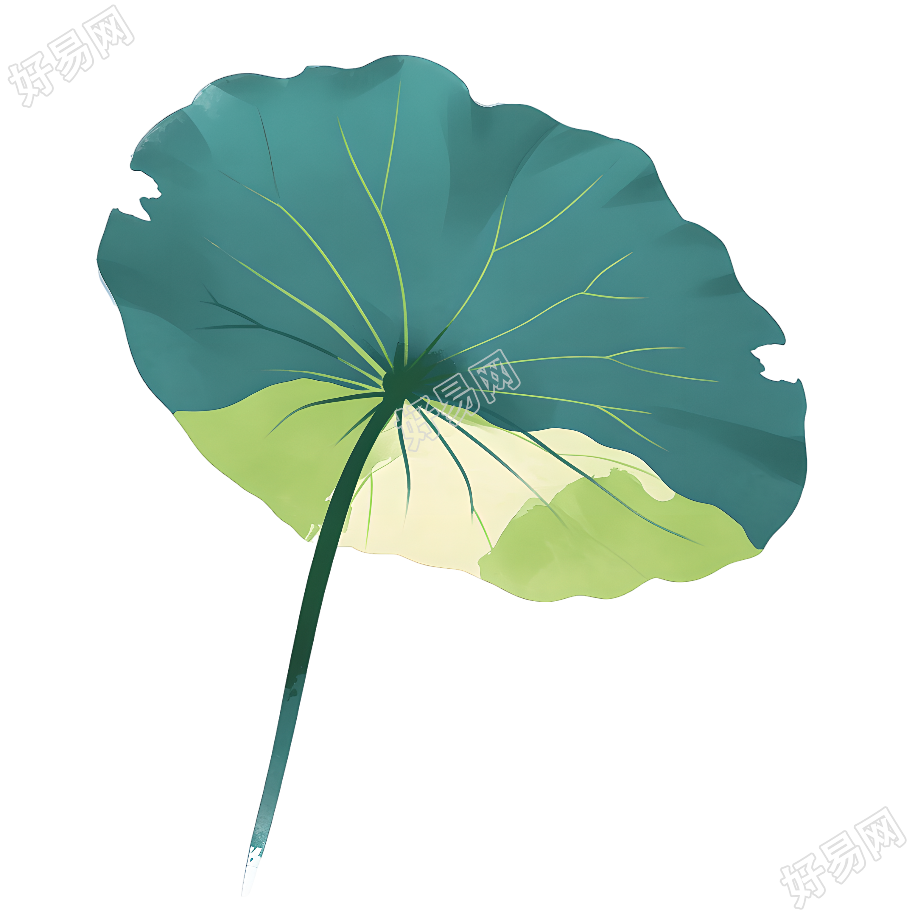 荷叶夏季清新元素