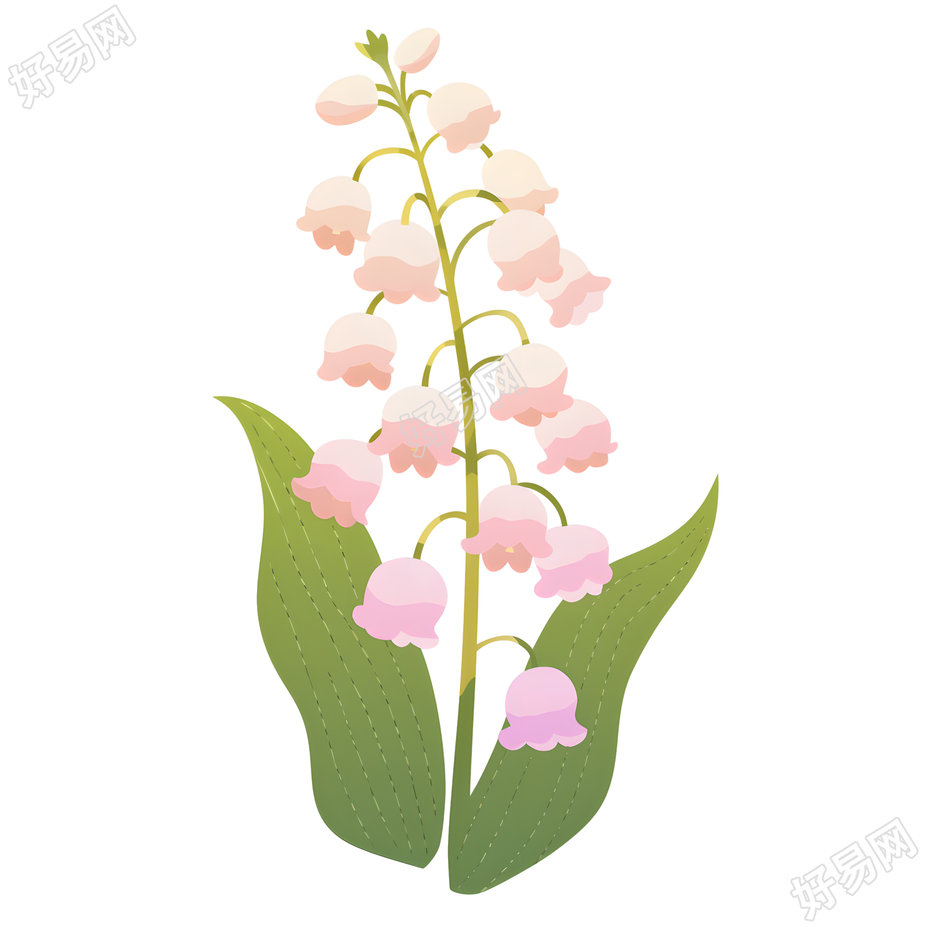 水彩植物铃兰花元素
