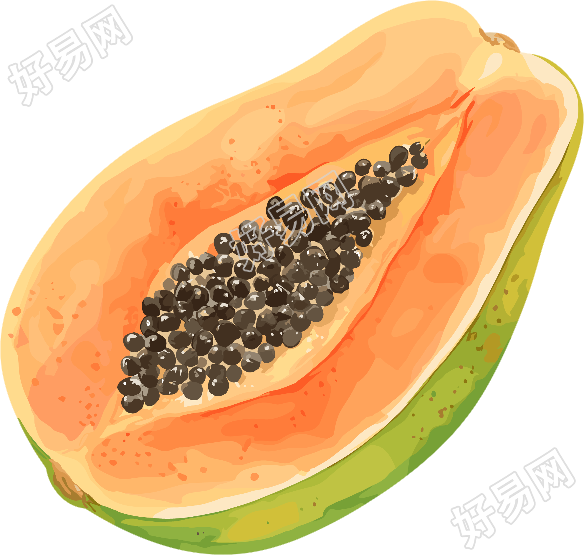 木瓜儿童图书插图