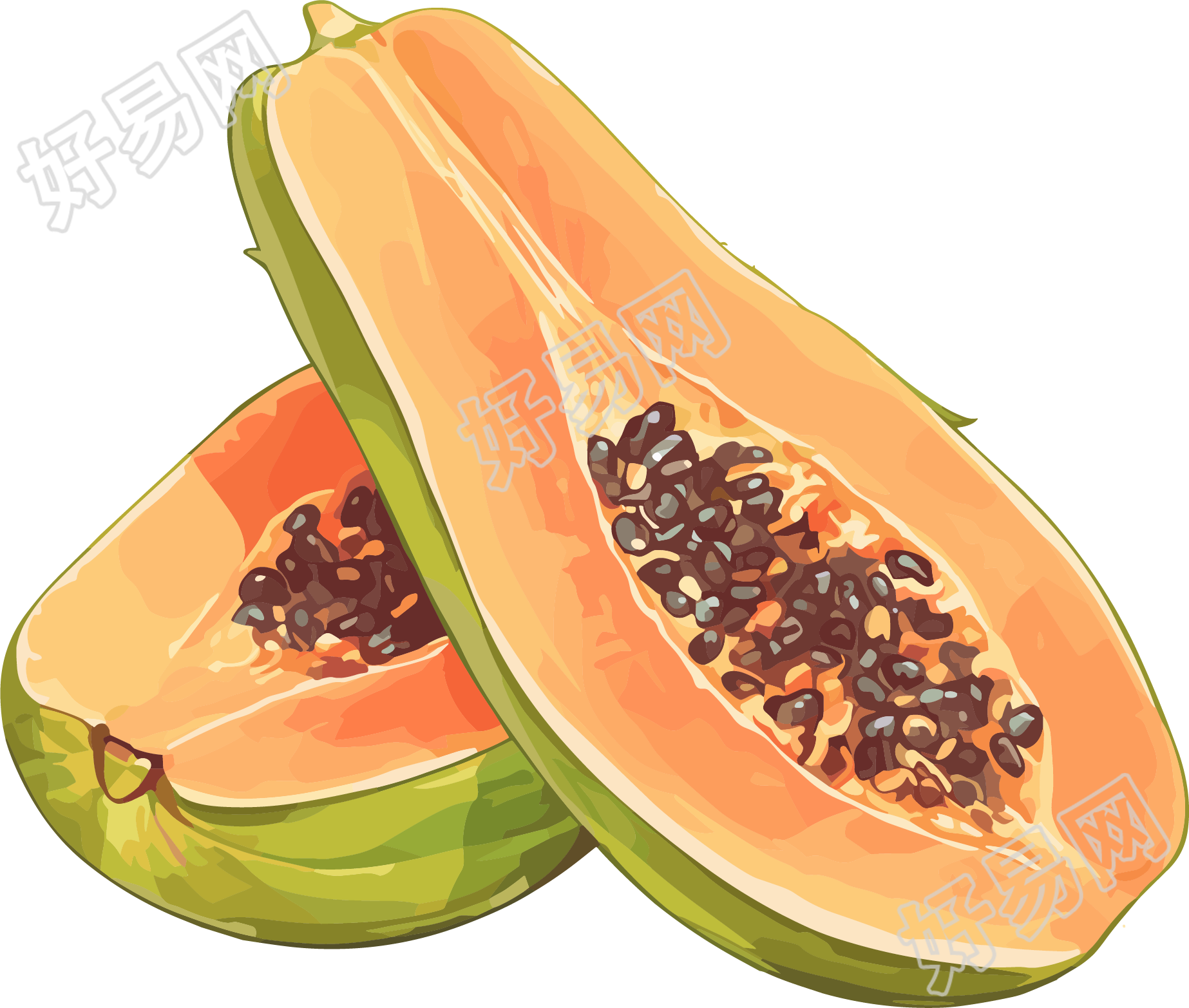 木瓜创意素材