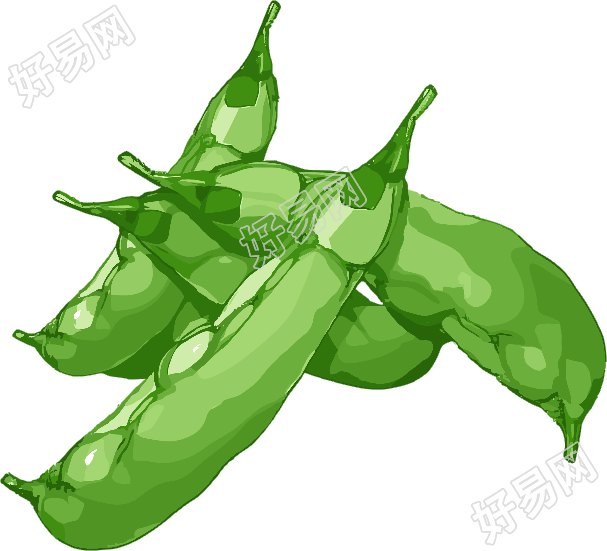 扁豆扁平插画
