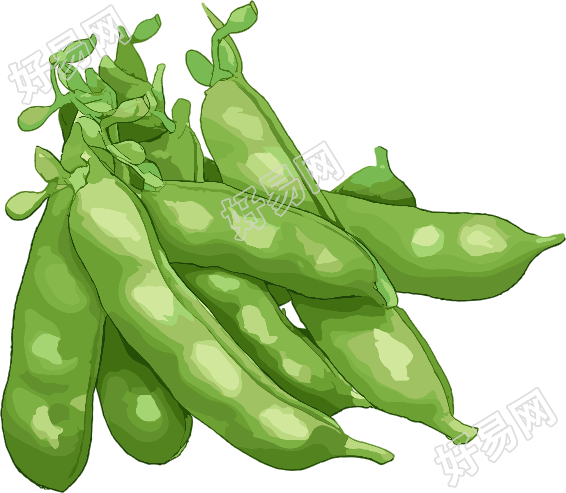 扁豆扁平插图