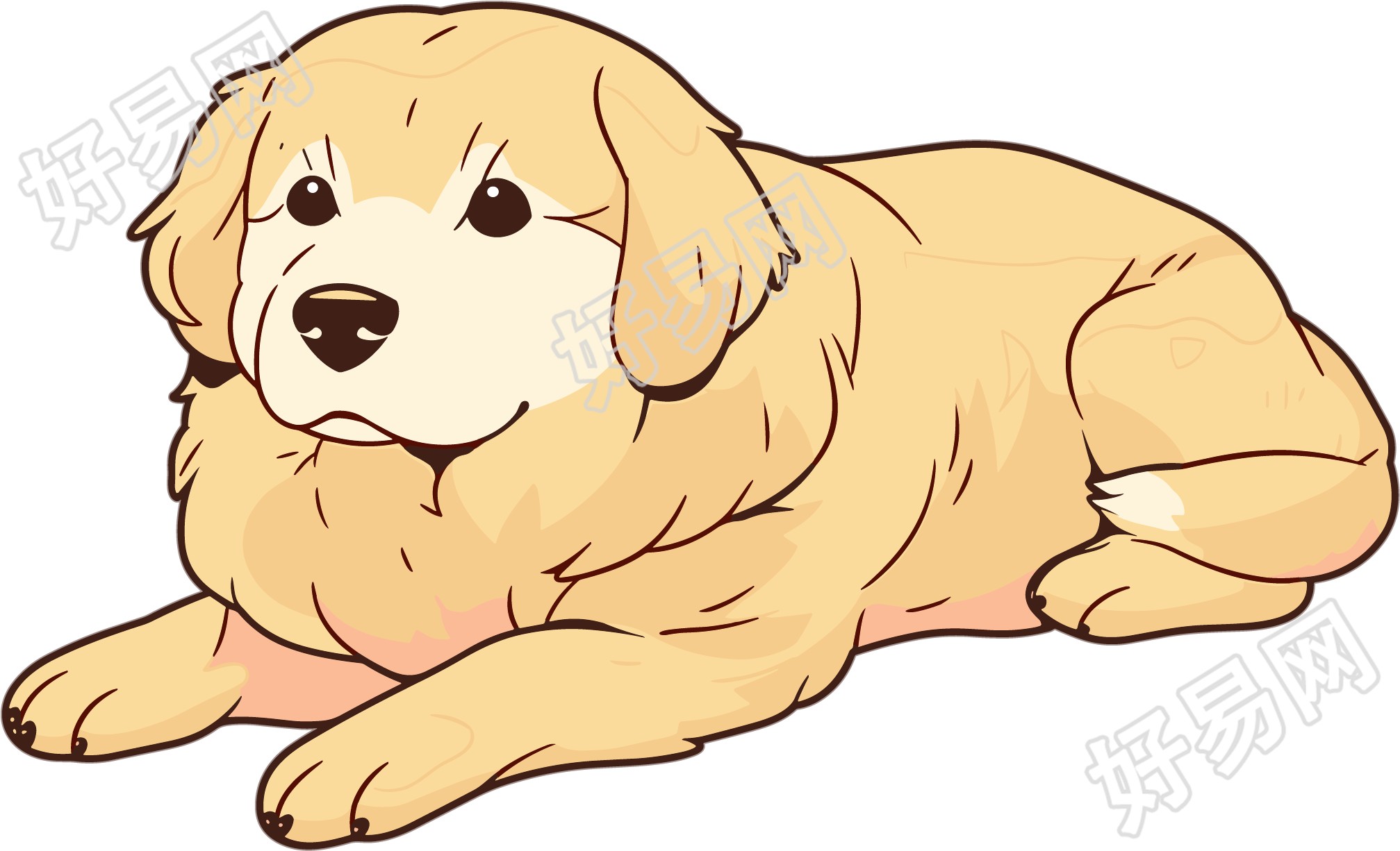 小狗拉布拉多插图