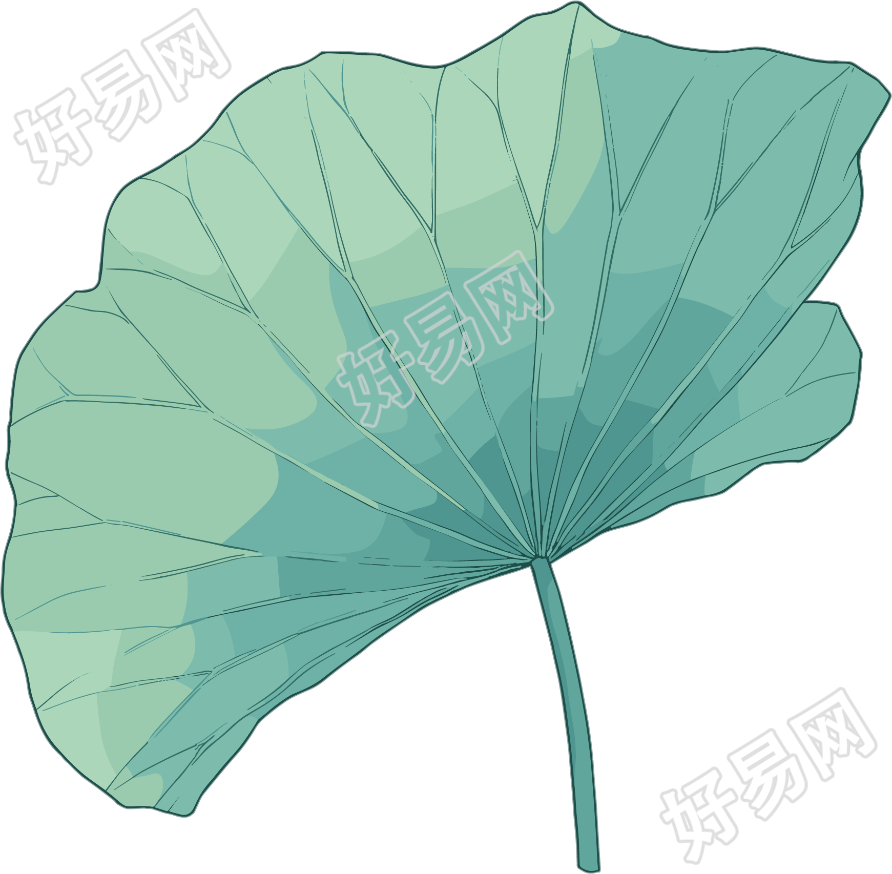 绿色荷叶夏天插画