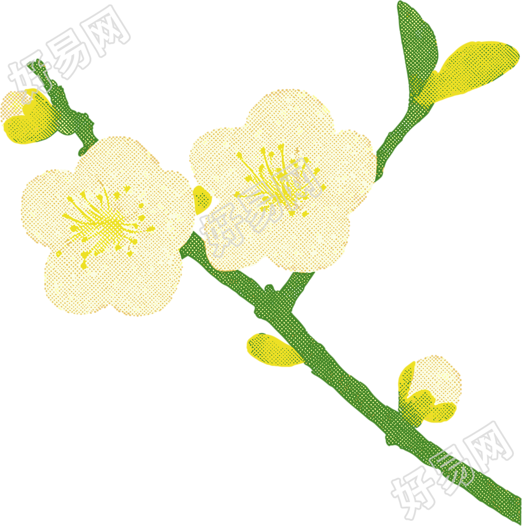 樱花水彩植物插画