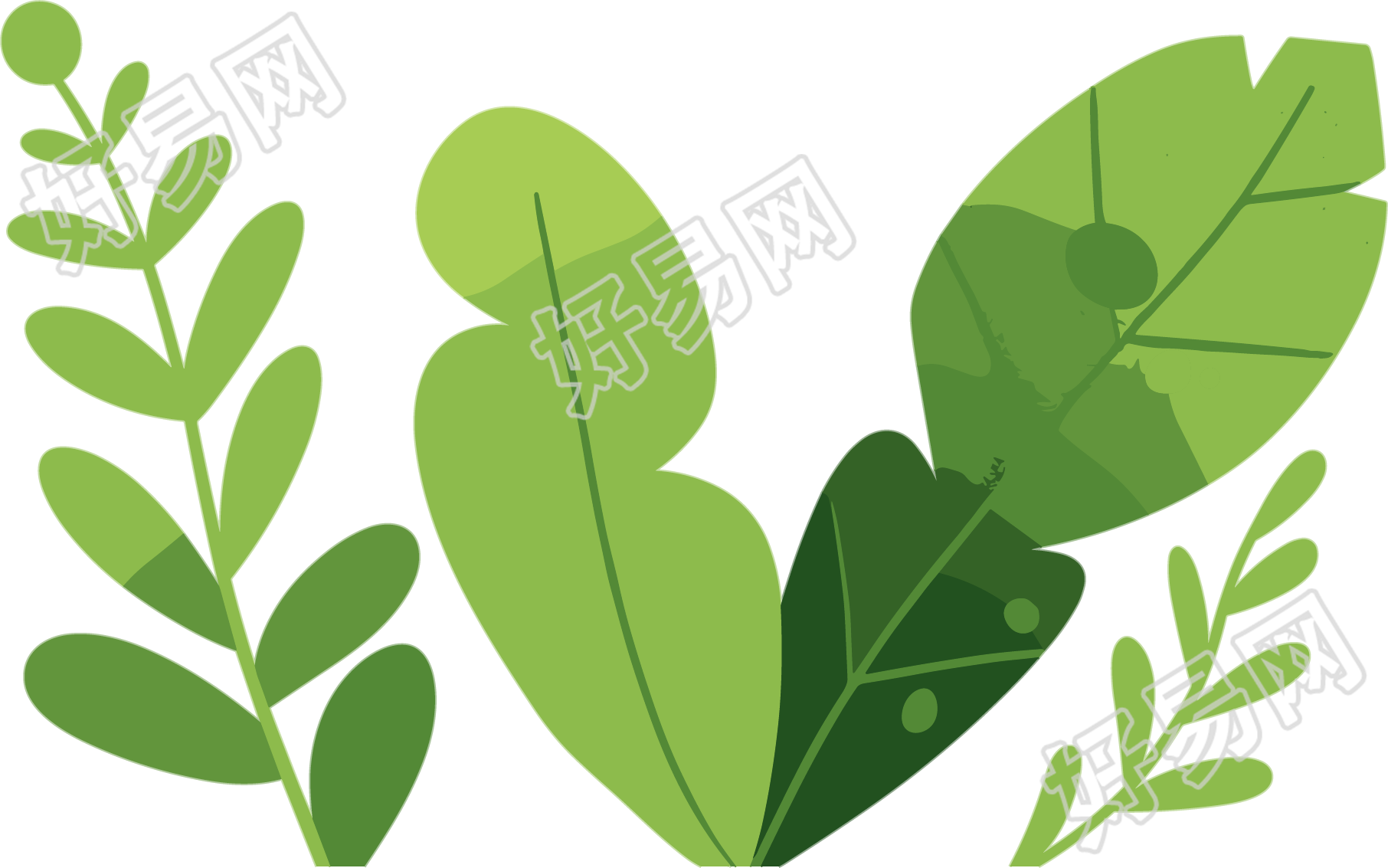 绿叶水彩植物高清PNG素材