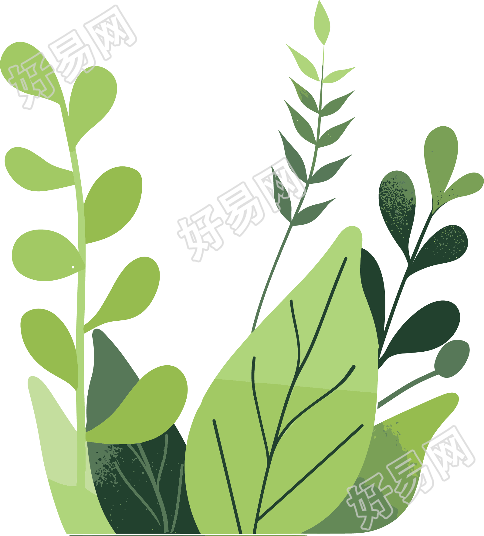 绿叶水彩植物高清素材