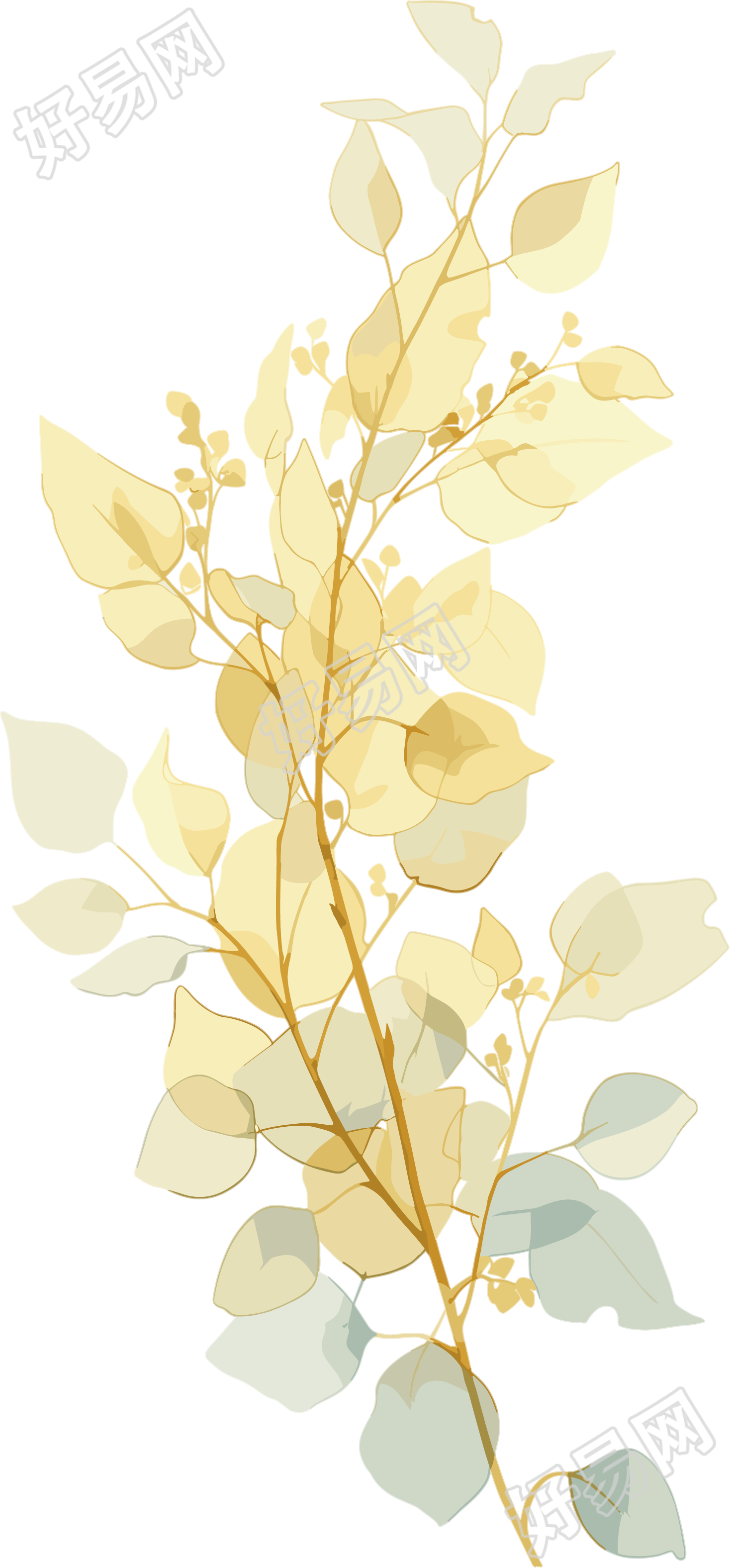 水彩植物PNG素材
