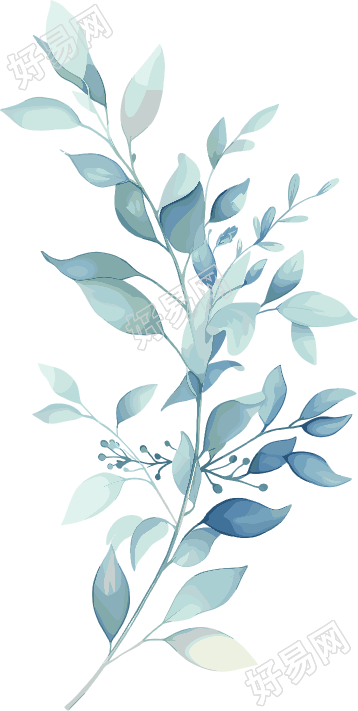 水彩植物高清图形素材