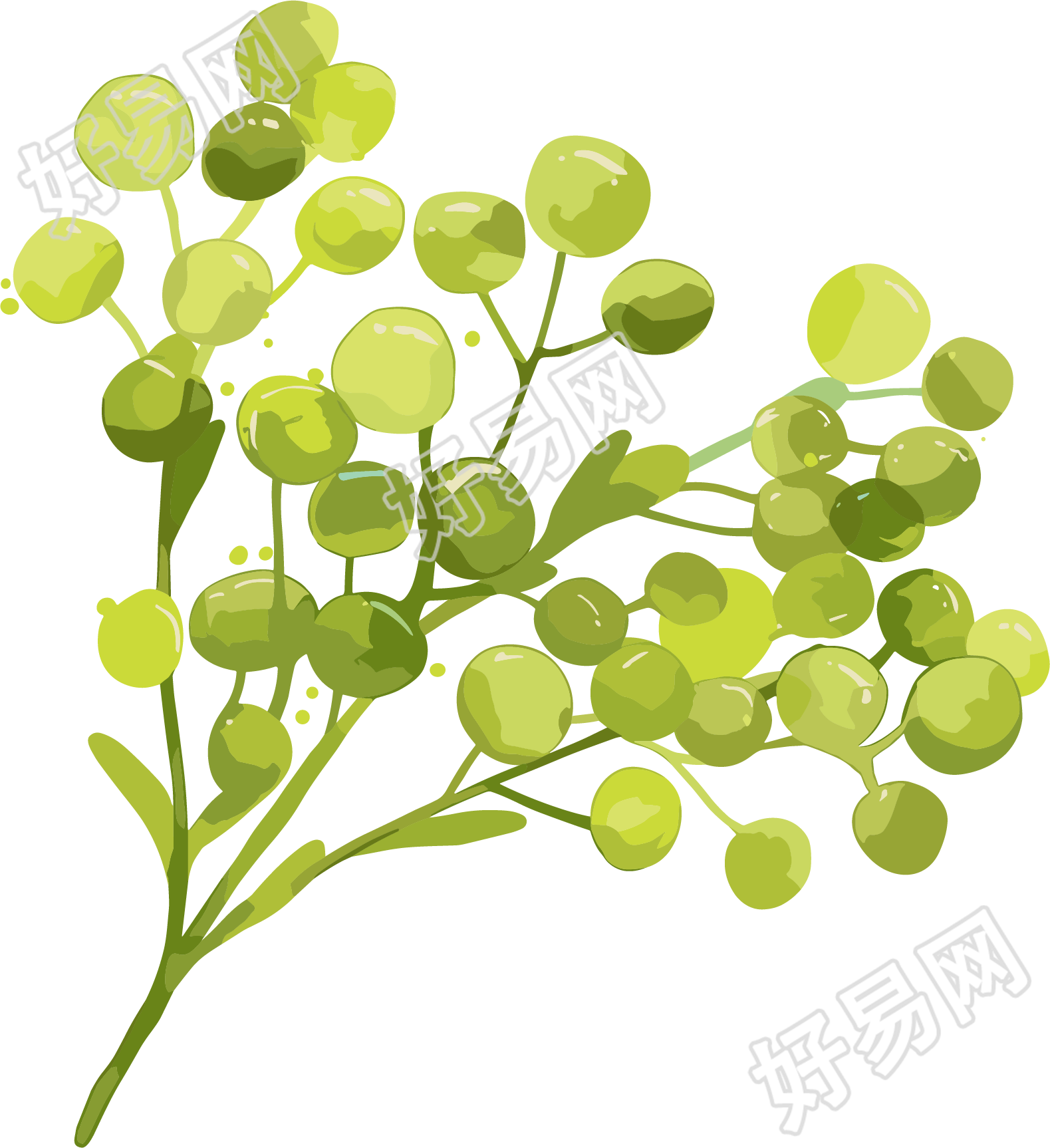 水彩植物草绿色素材
