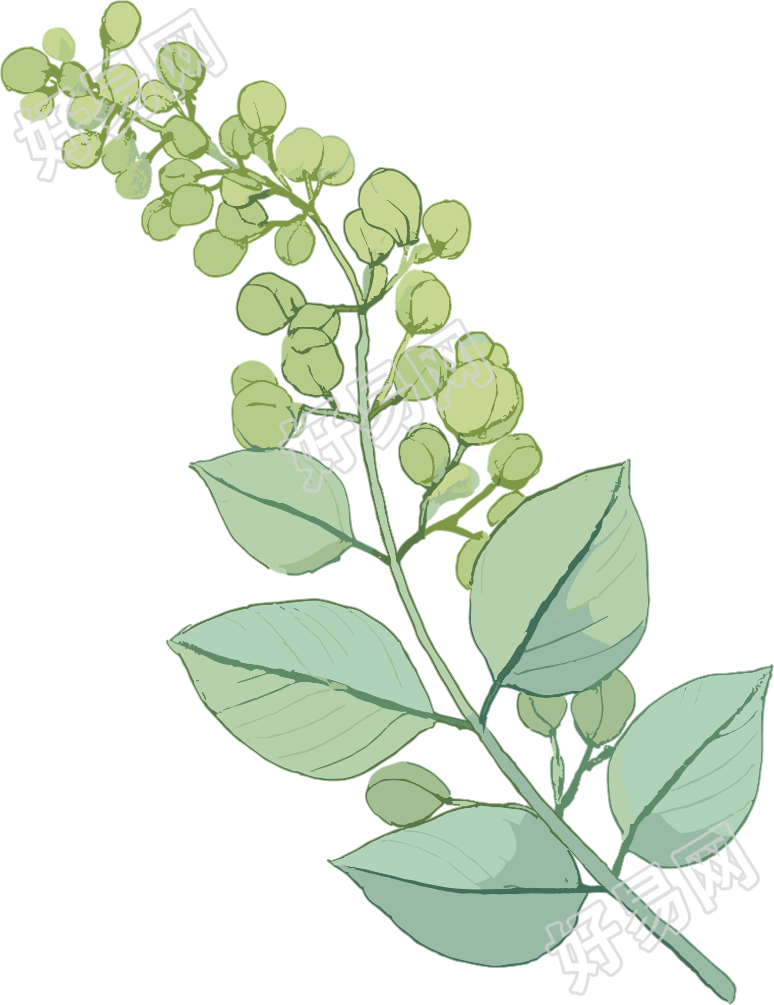 水彩植物卡通素材