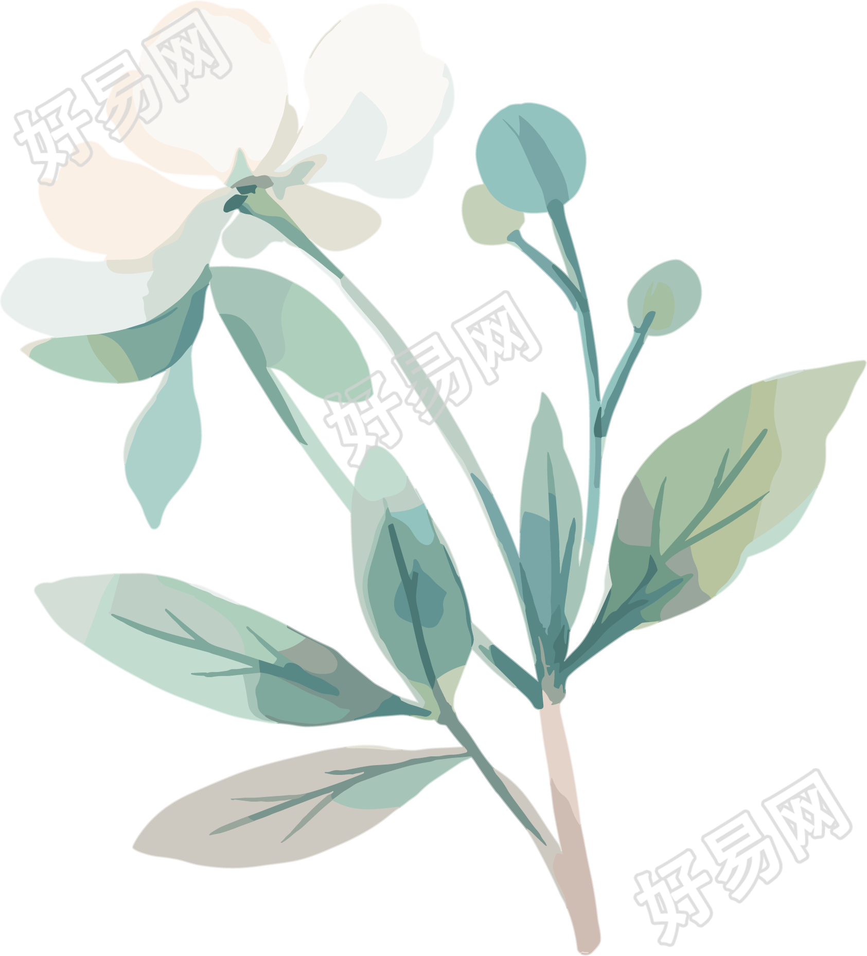 小白花水彩植物插图