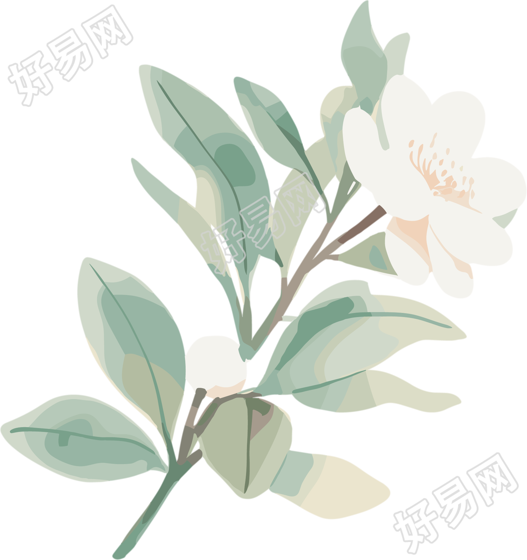 小白花水彩植物元素