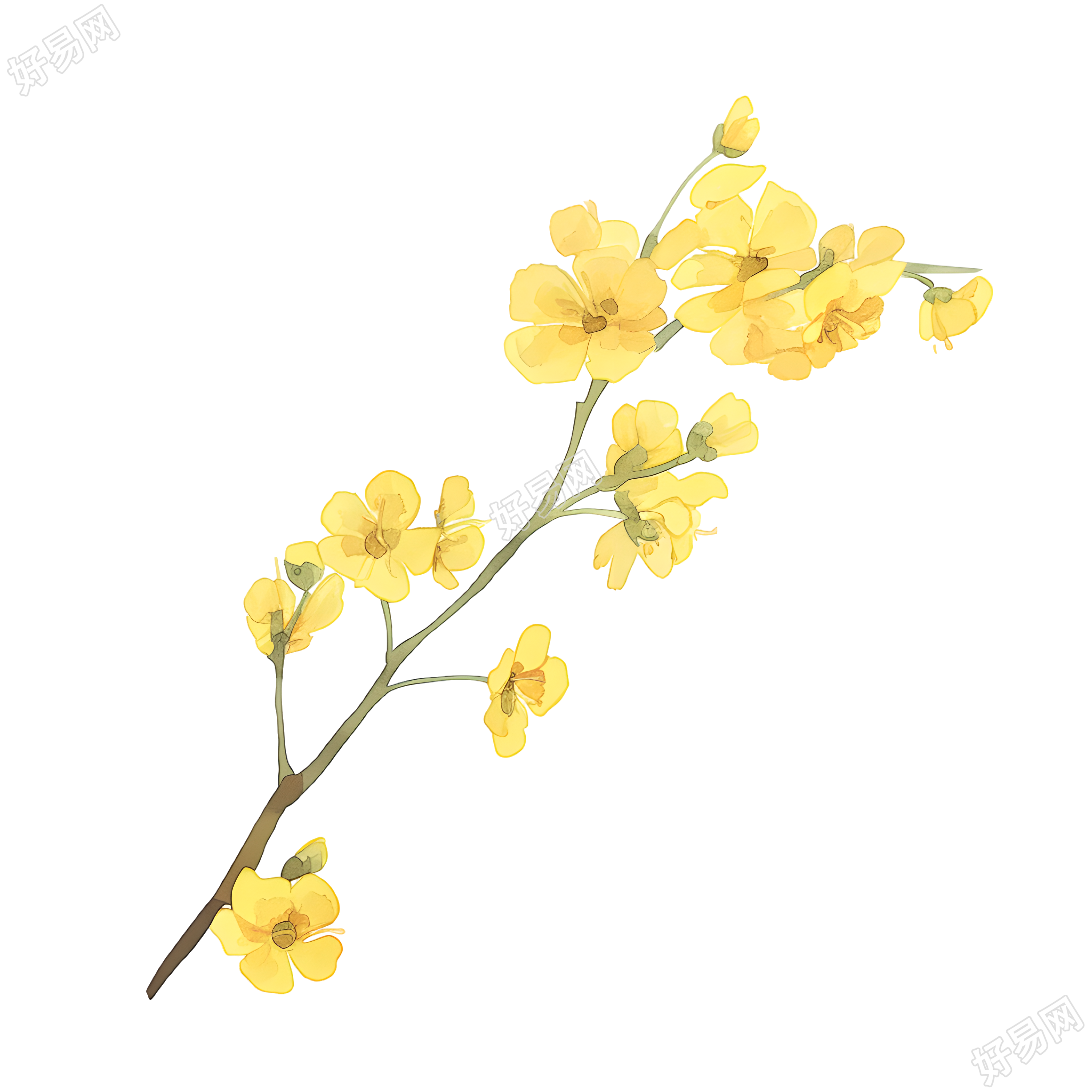 小花可商用插画