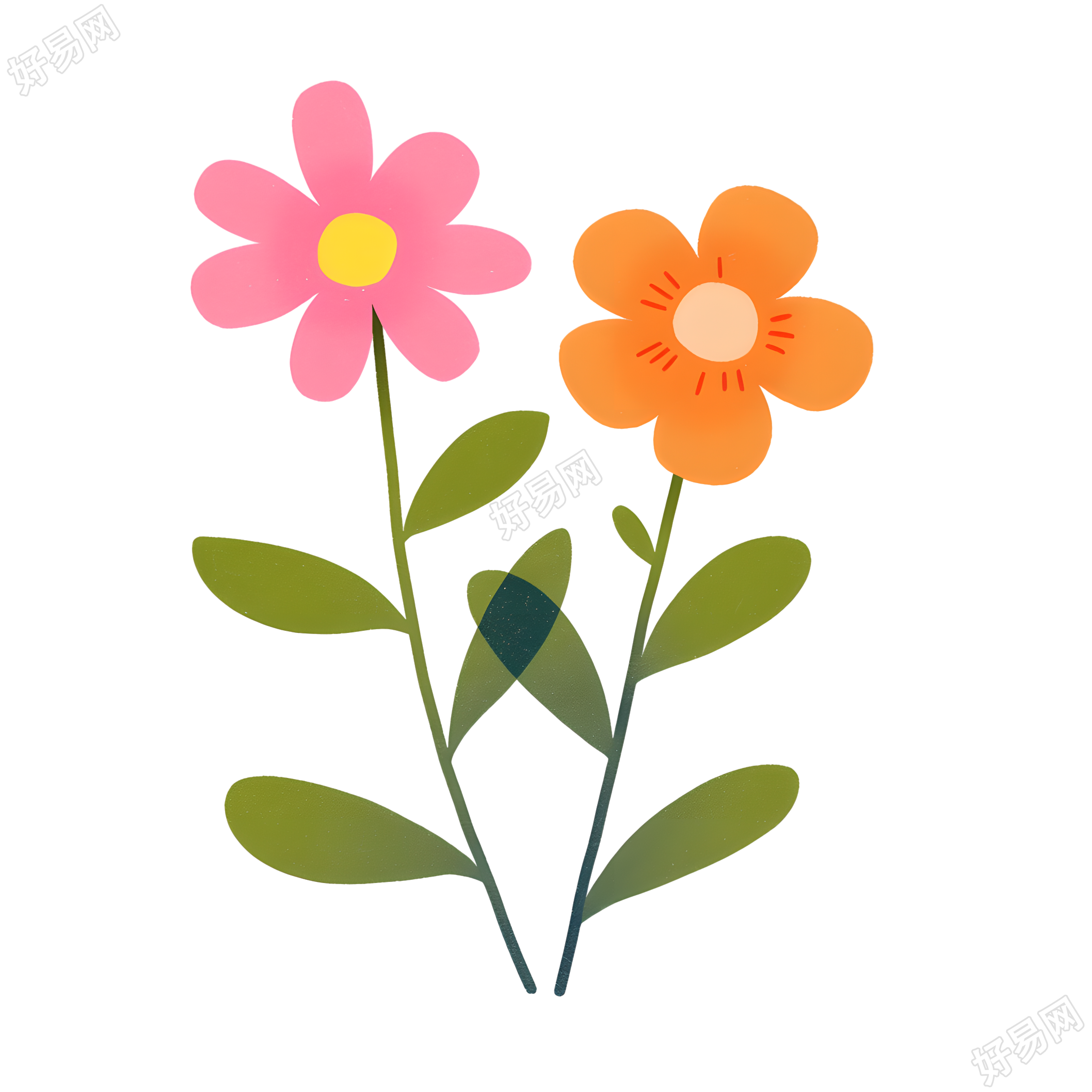 小花高清素材