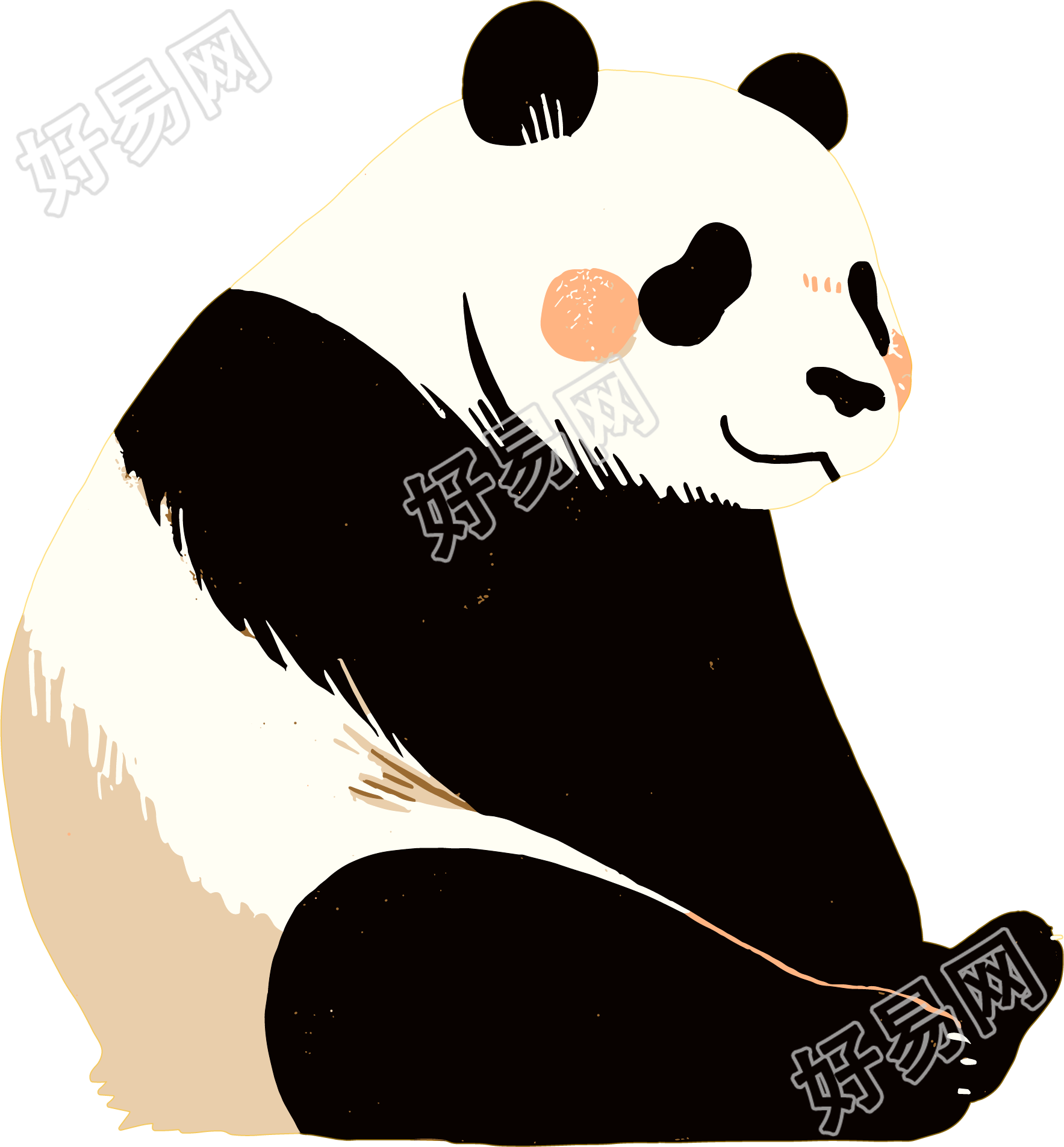 熊猫珍稀动物插图