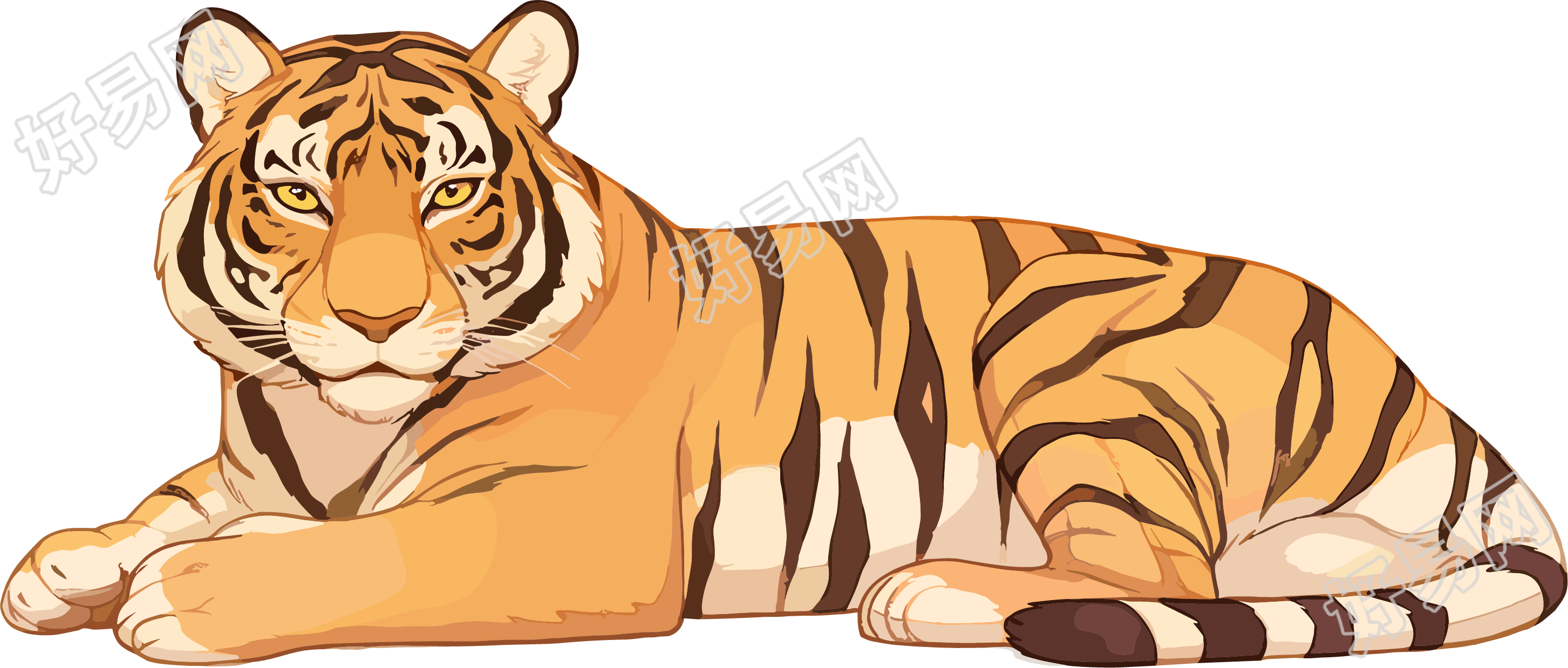 老虎珍稀动物插图