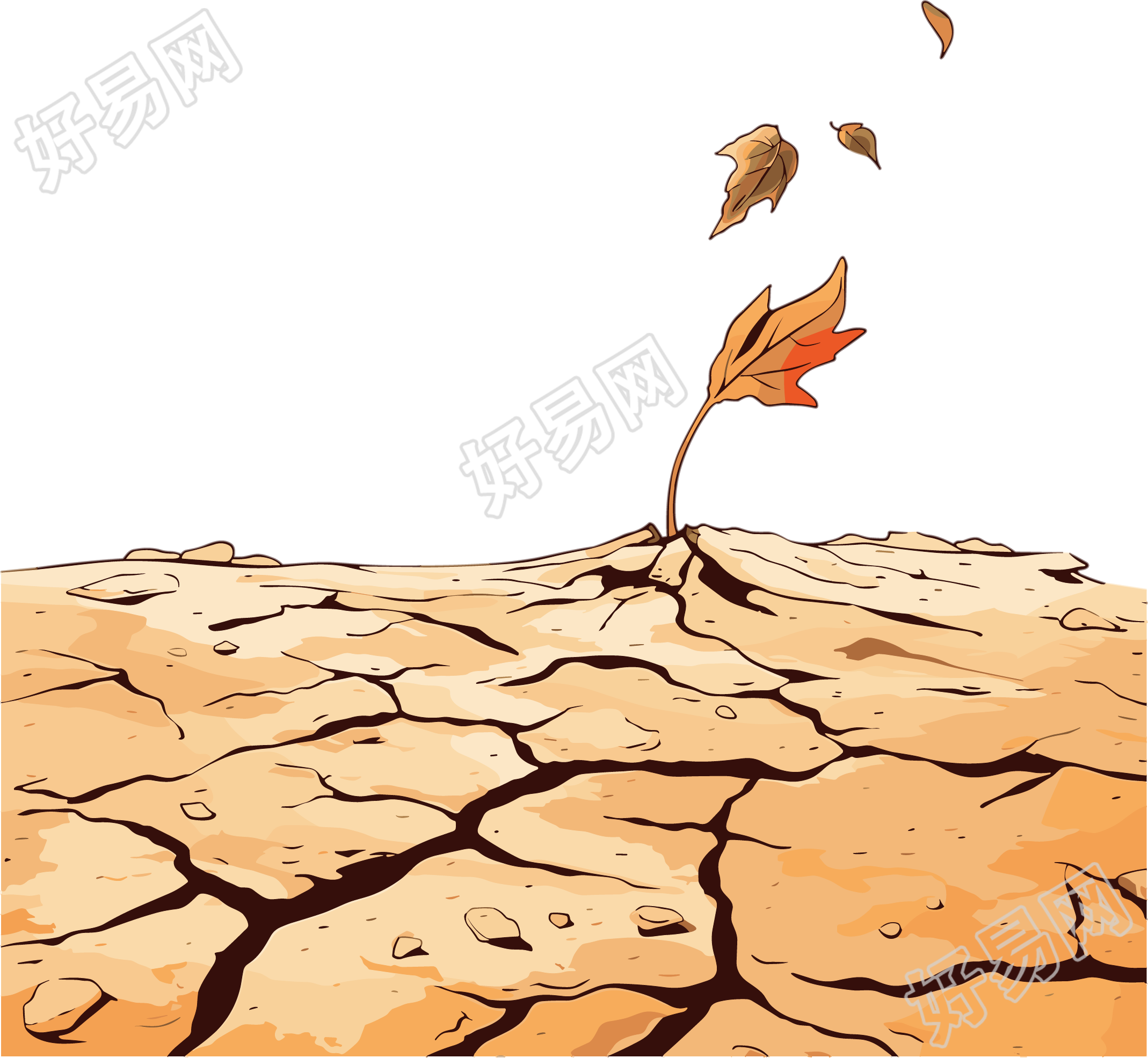 干裂的土地抗旱插图