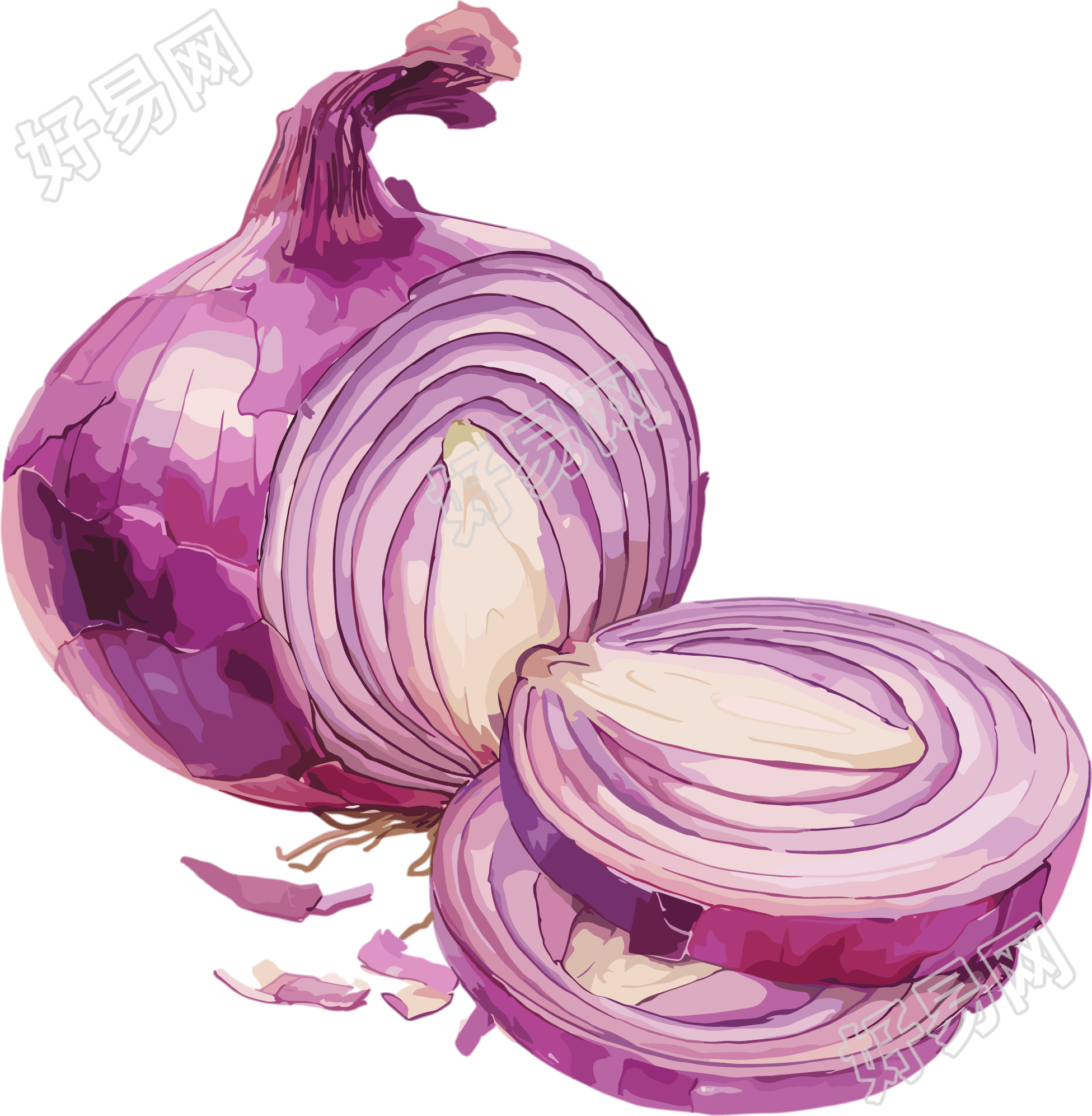 紫色洋葱元素