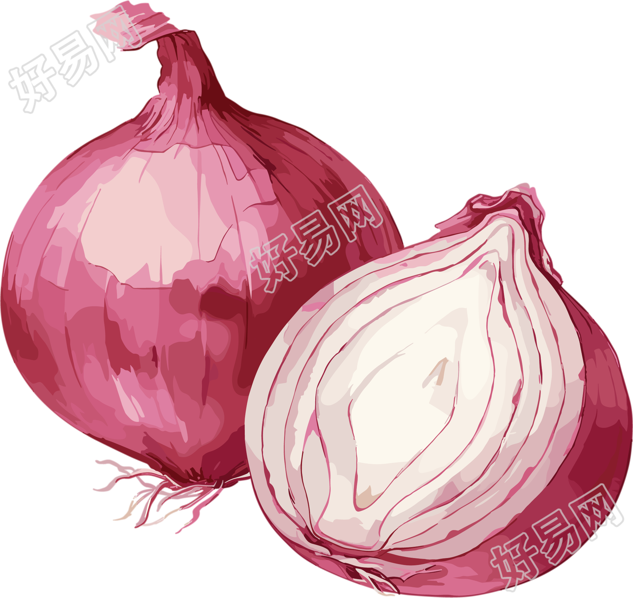 洋葱创意插图