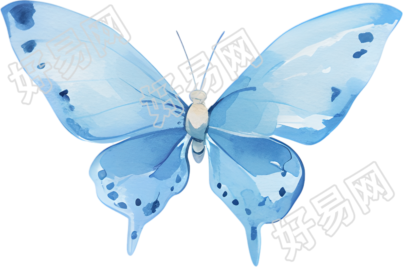 水彩蝴蝶高清插图