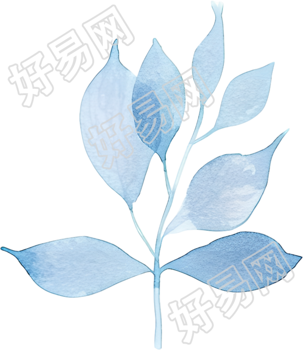 水彩叶子插画元素