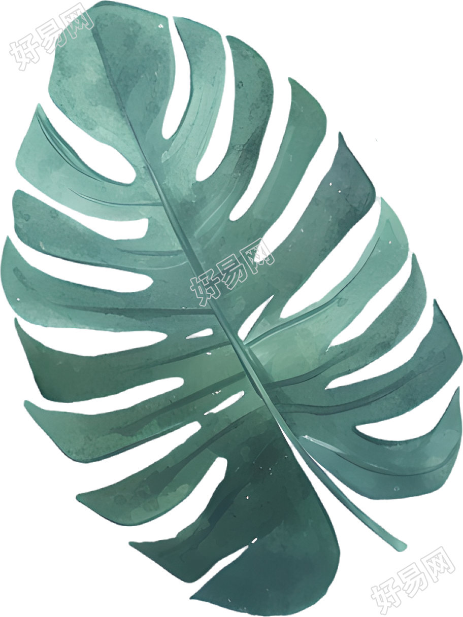 水彩叶子简约插画